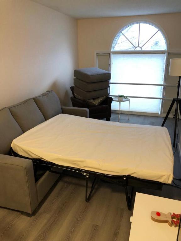 One-Bedroom Apartment photo 3