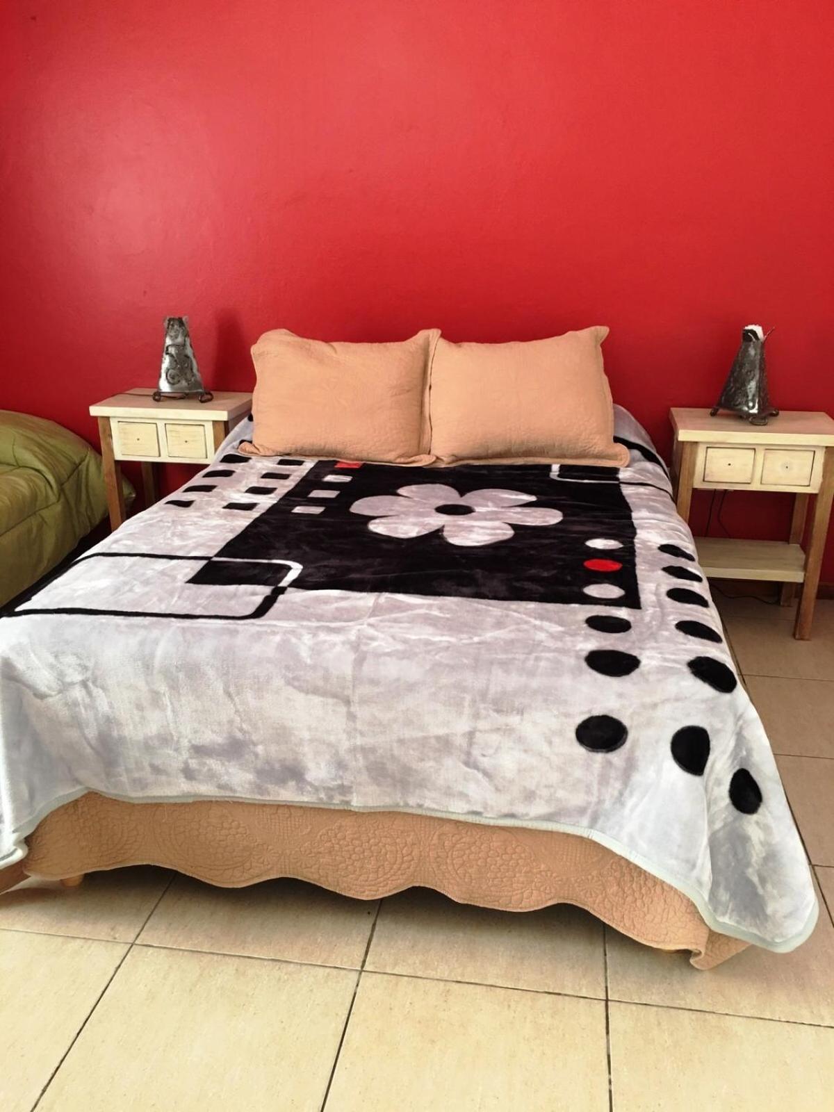 Studio Apartment photo 1