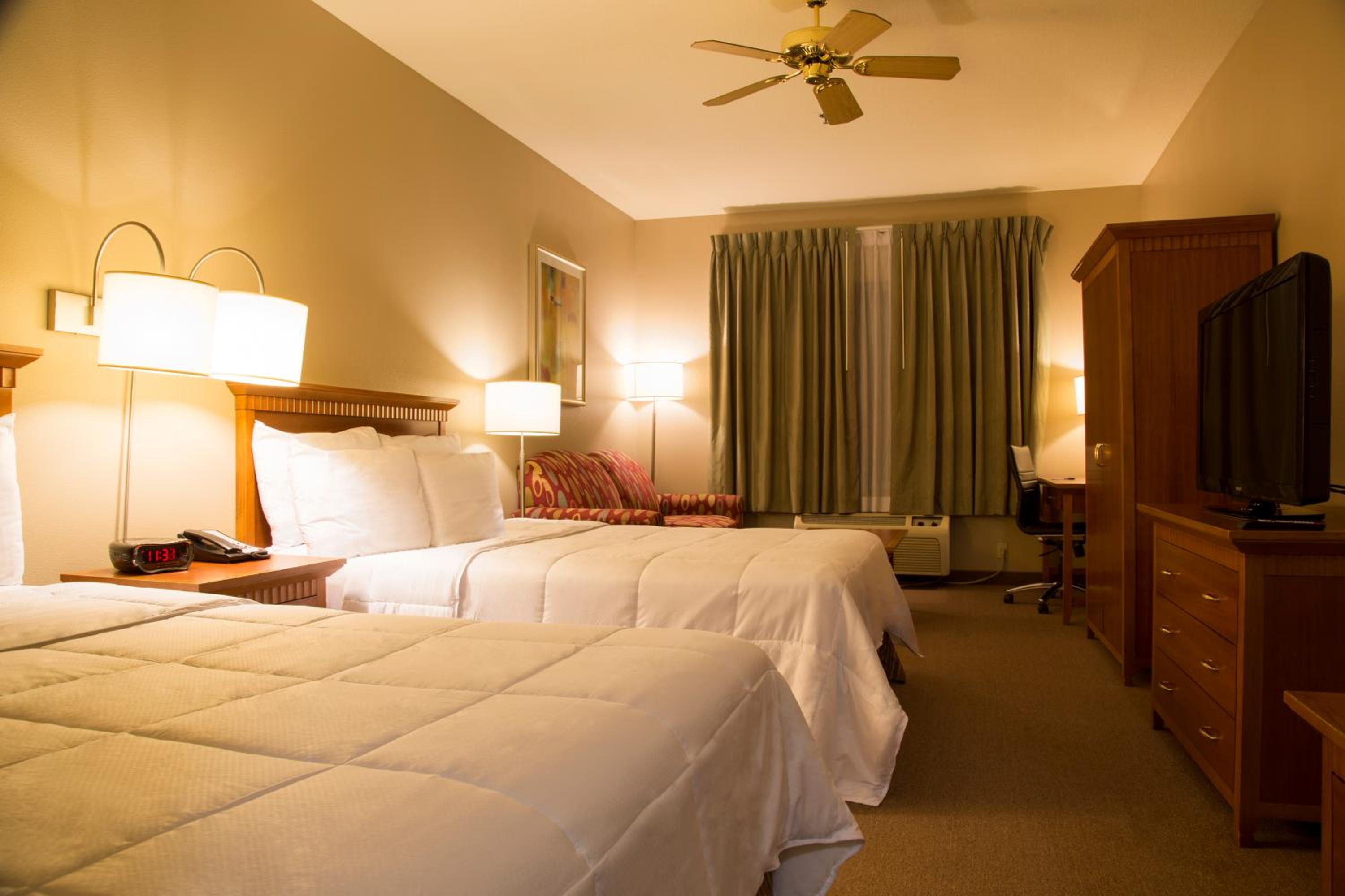 Queen Suite with Two Queen Beds photo 1