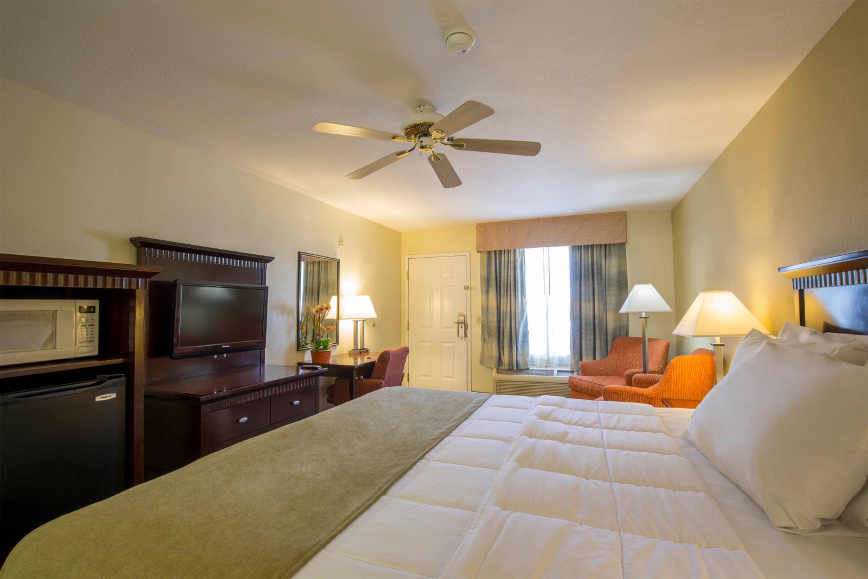 King Room photo 1