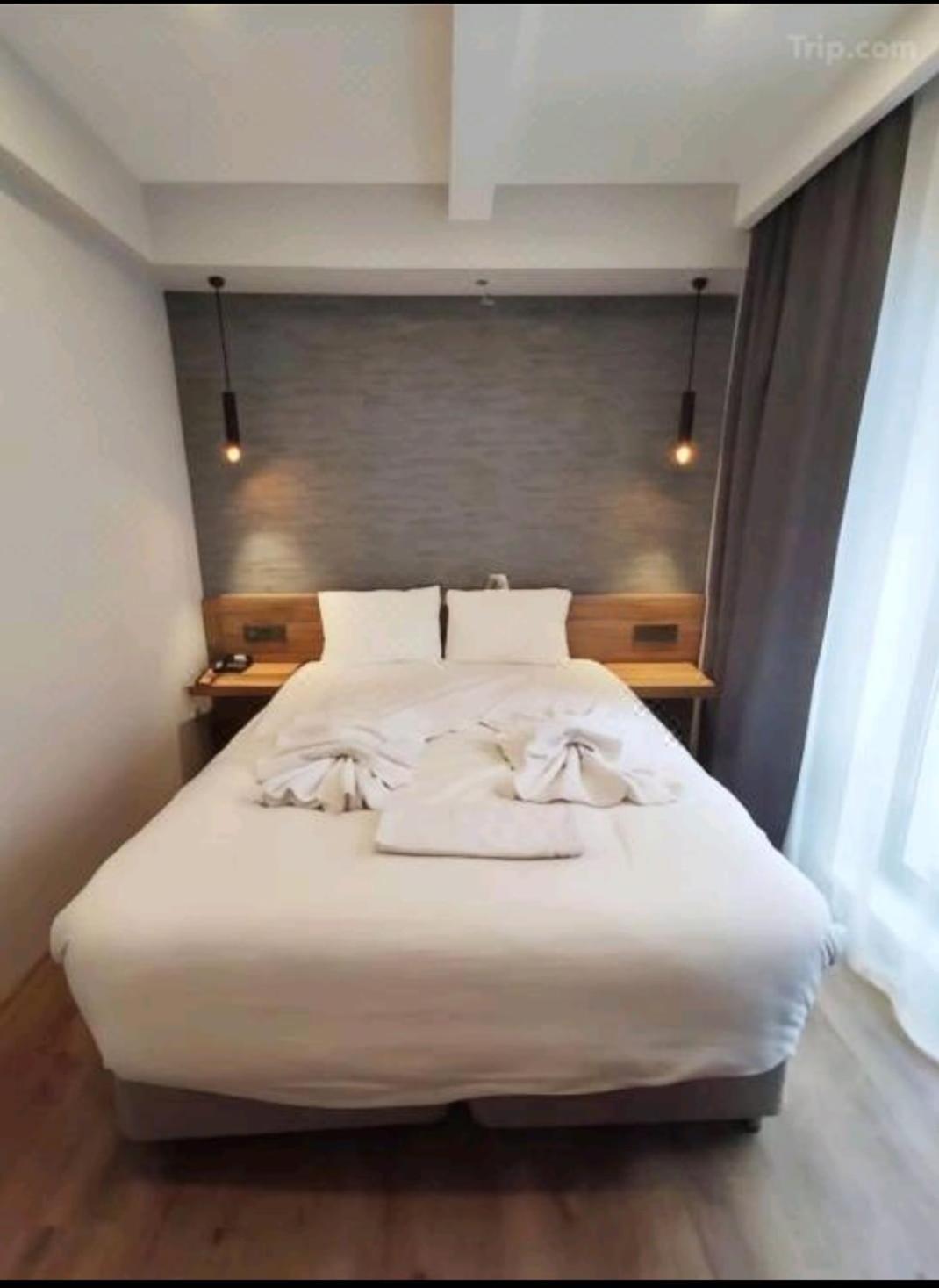 Deluxe Twin Room photo 1