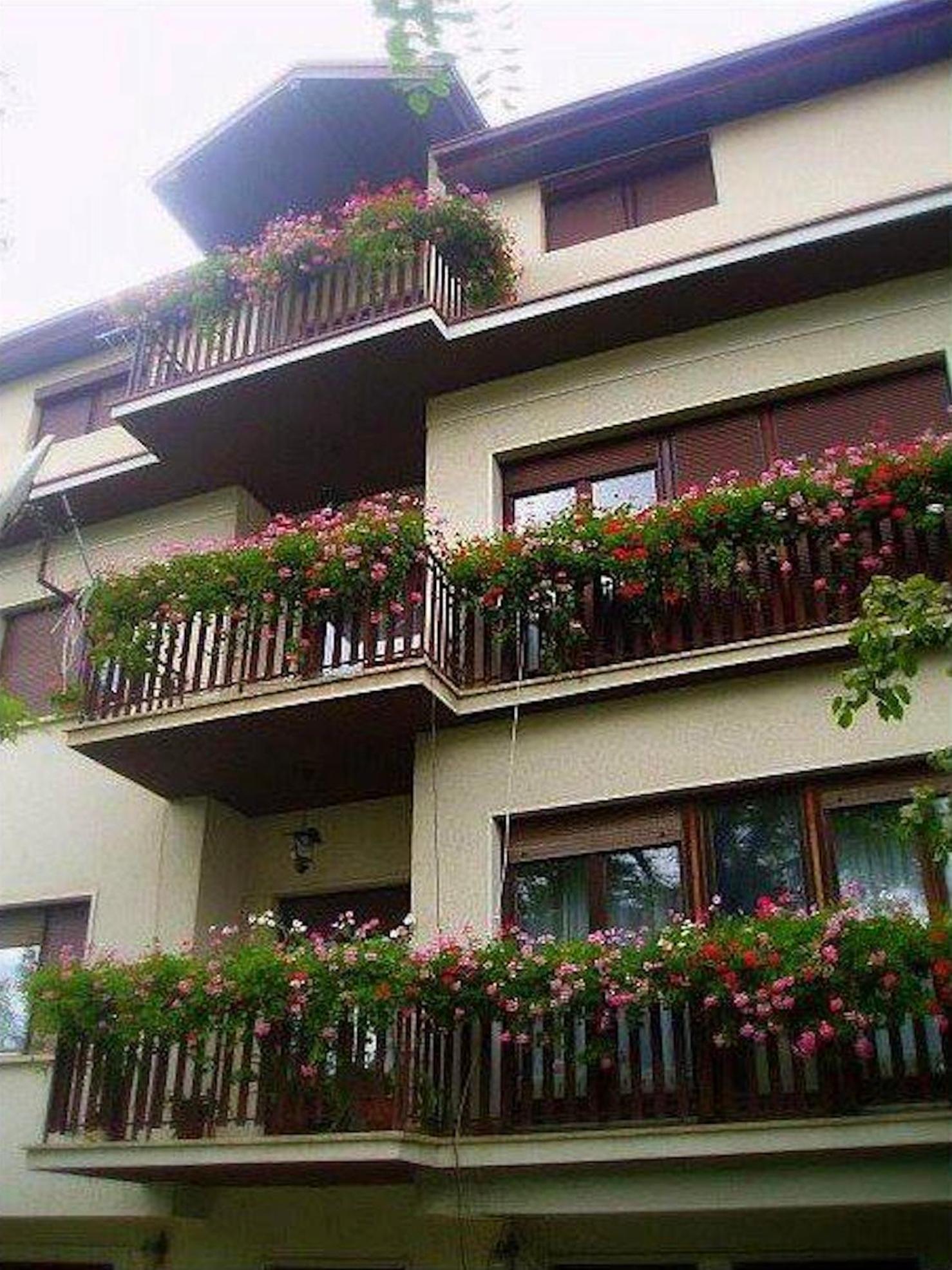 Studio Apartment with Balcony photo 3