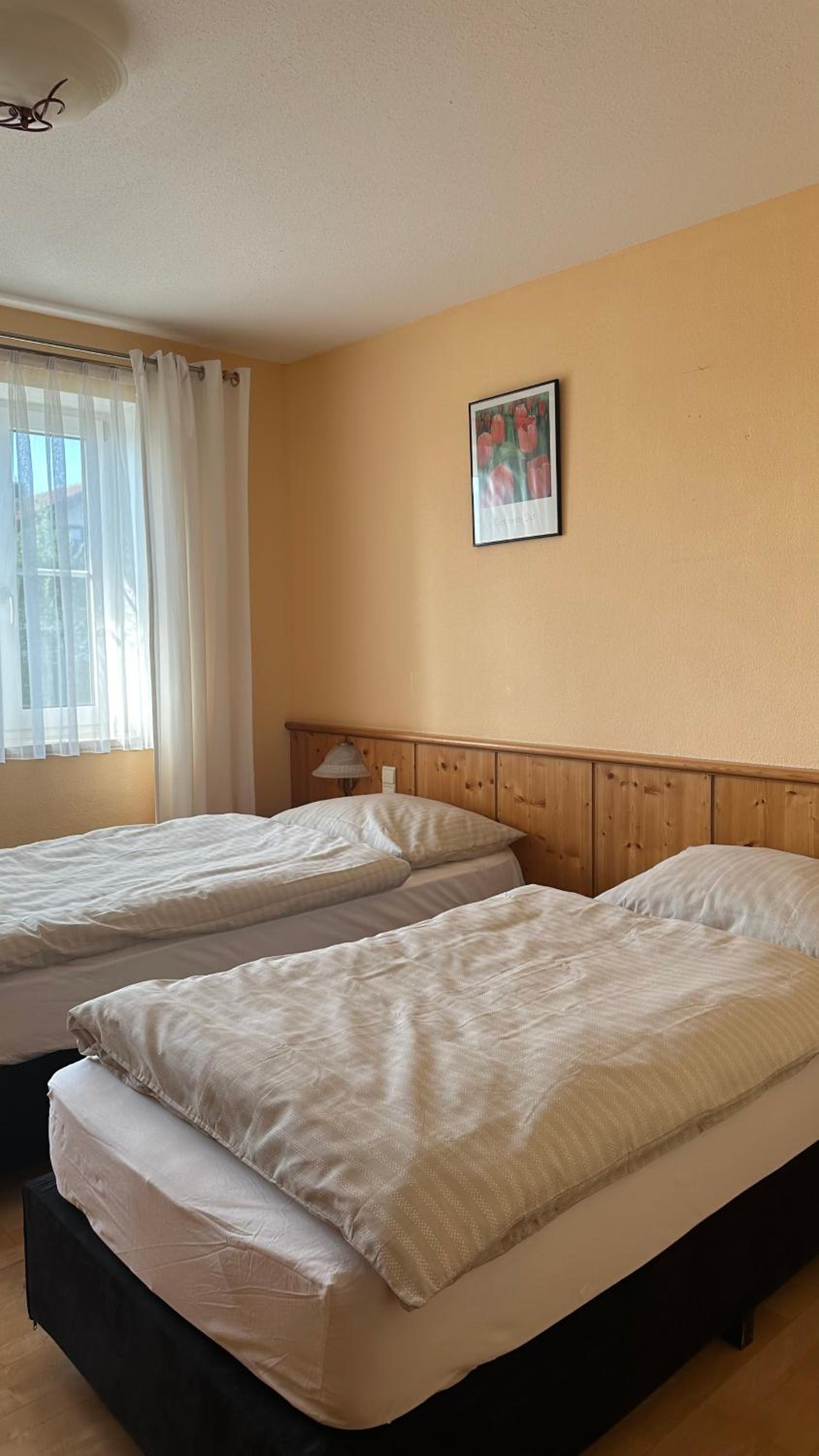 Twin Room photo 1