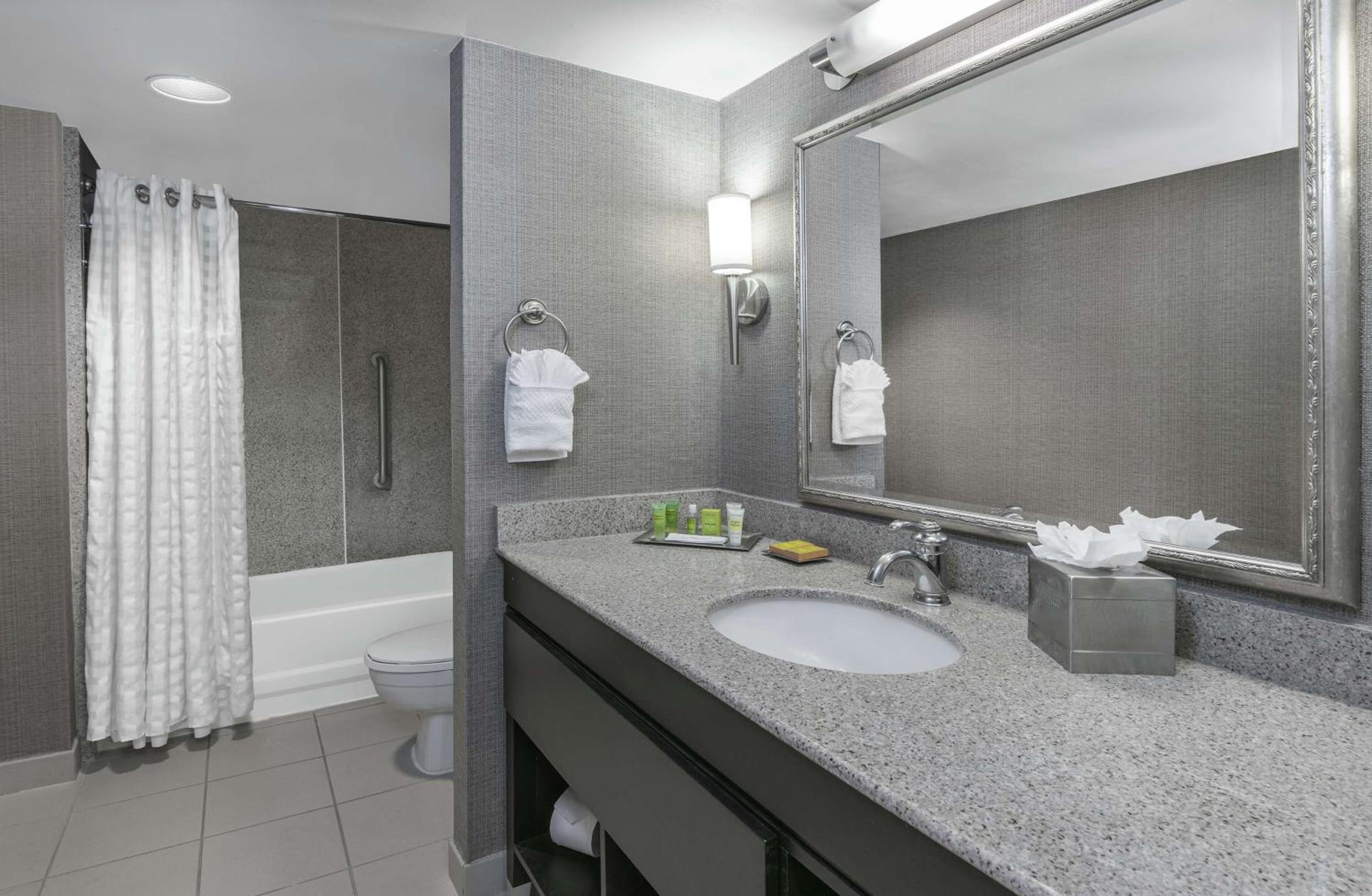 King Suite - Photo 3