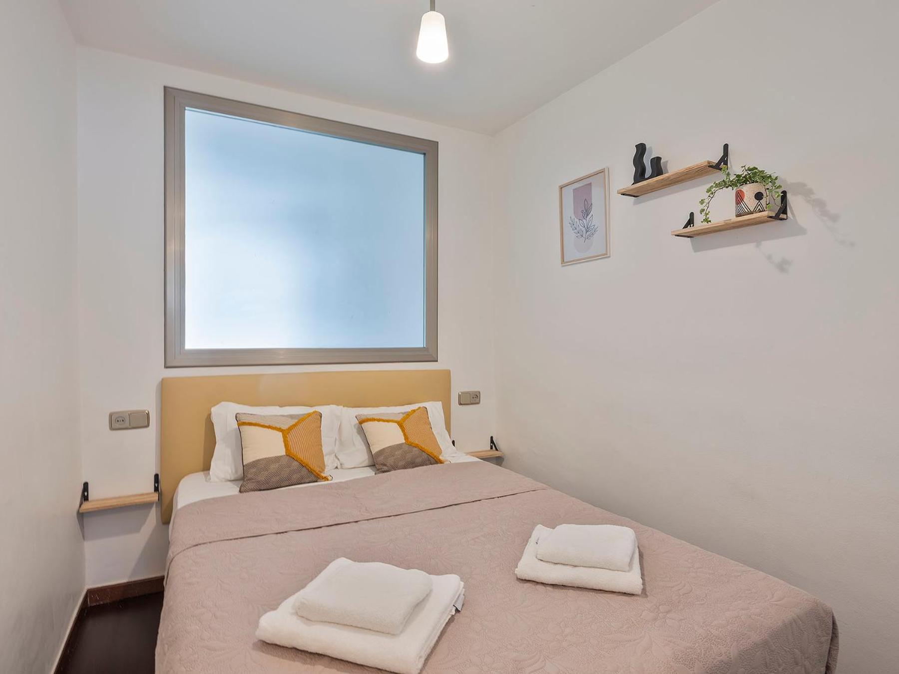 Apartamento de una habitación (2 adultos) - Calle Doctor Trueta 228