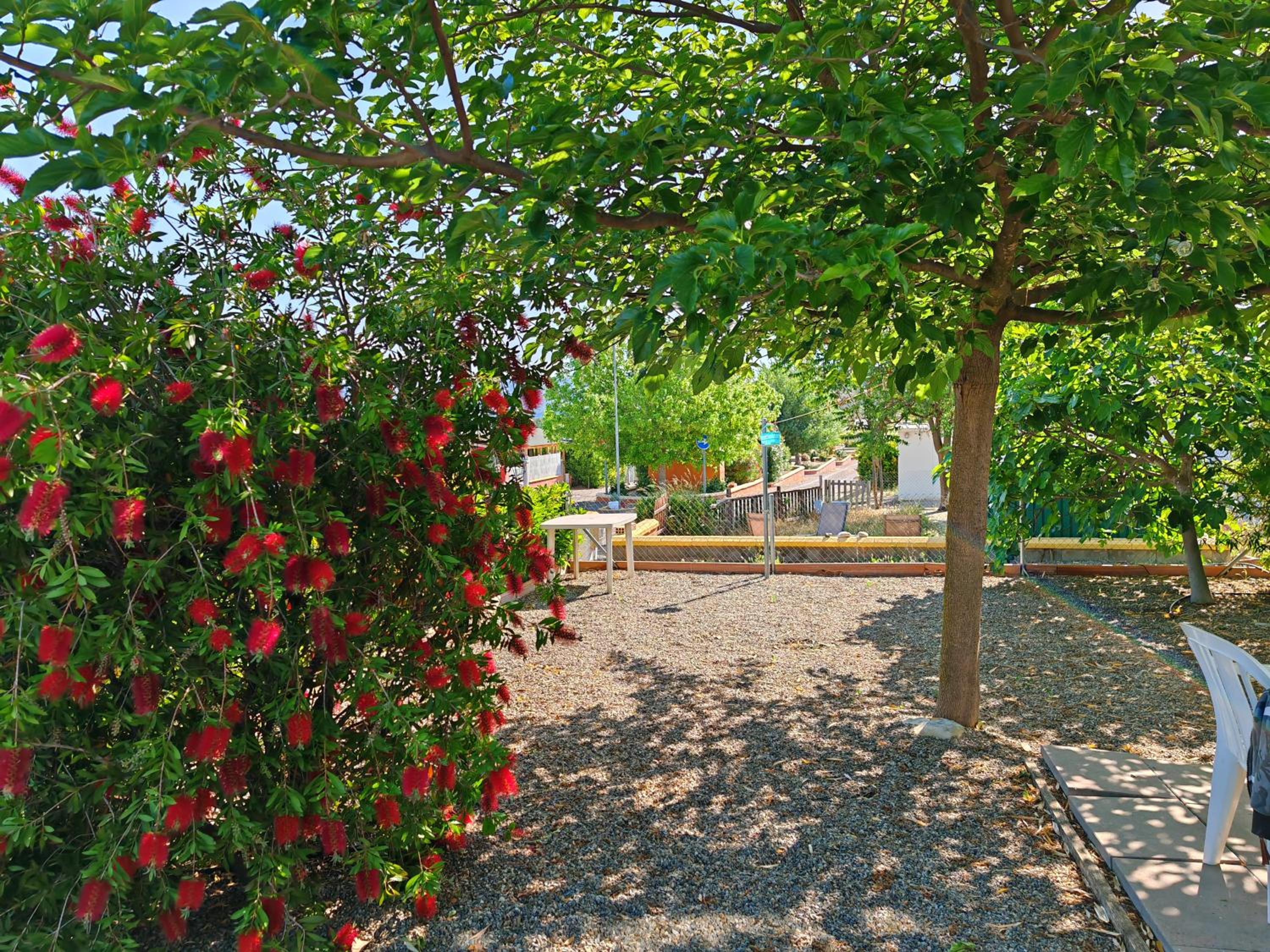 Mobile Home photo 3