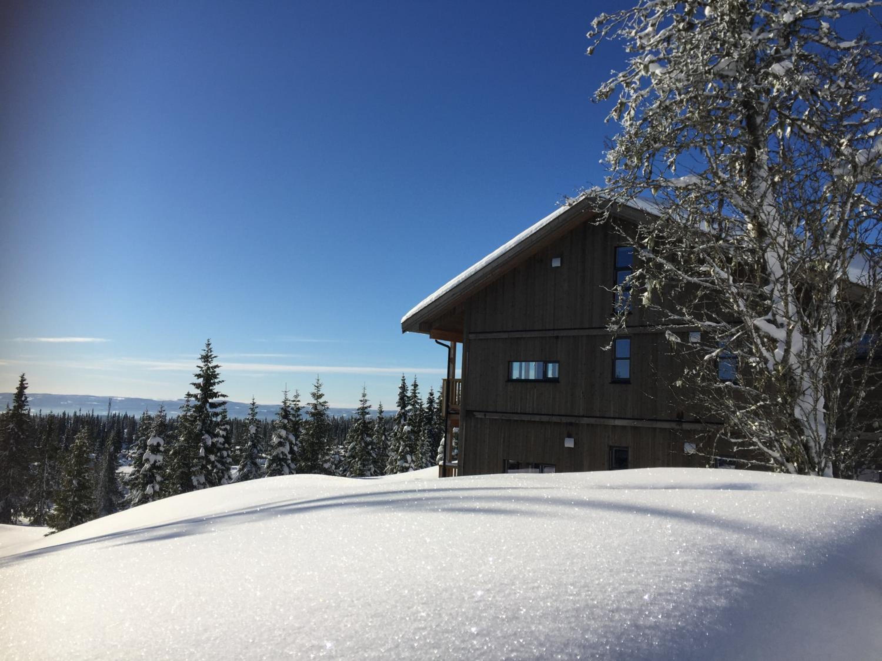 Two-Bedroom Apartment with Mountain View photo 2