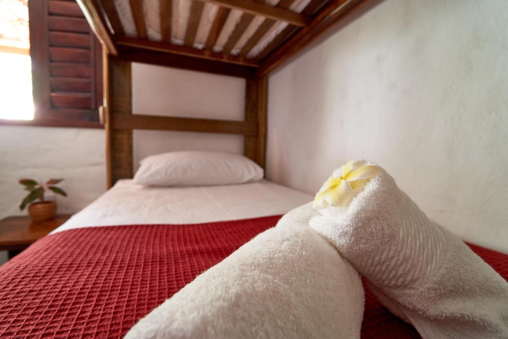 Bunk Bed in Mixed Dormitory Room photo 2