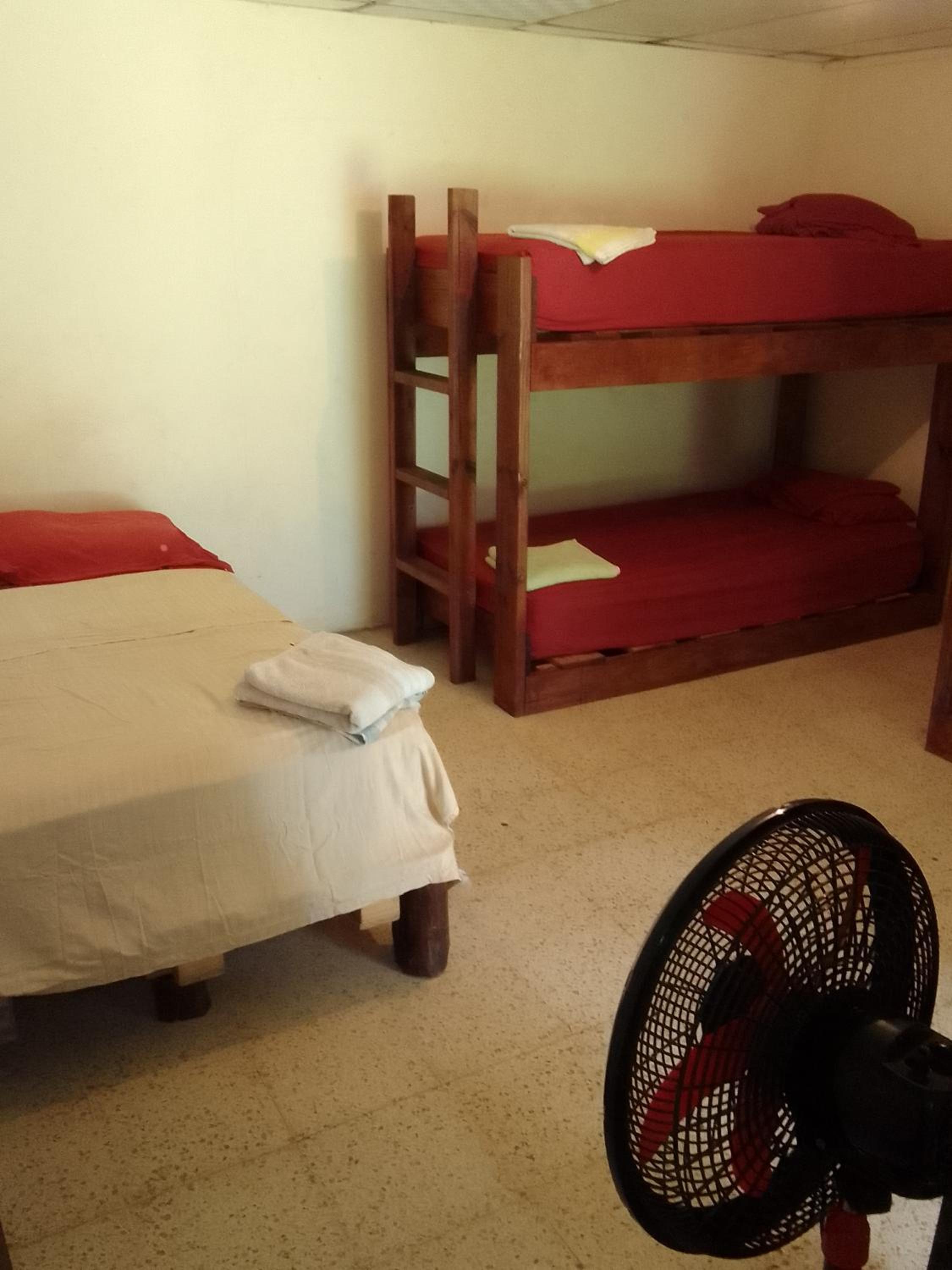6-Bed Mixed Dormitory Room photo 1