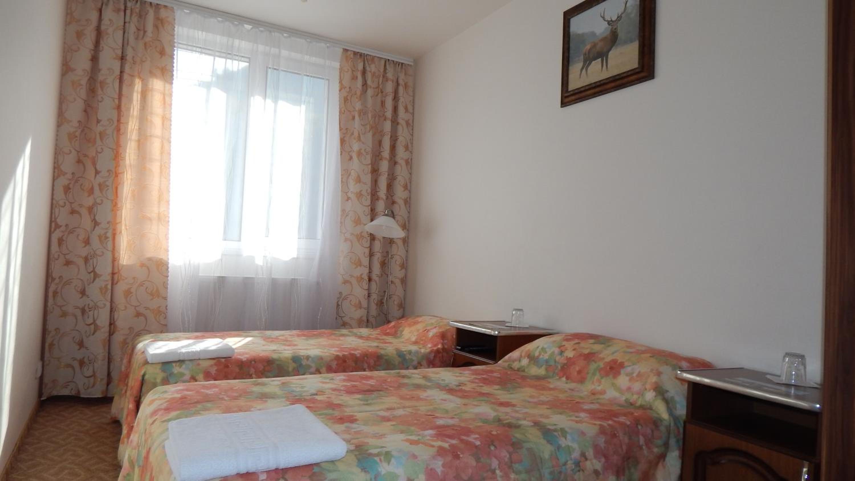 Standard Twin Room photo 1