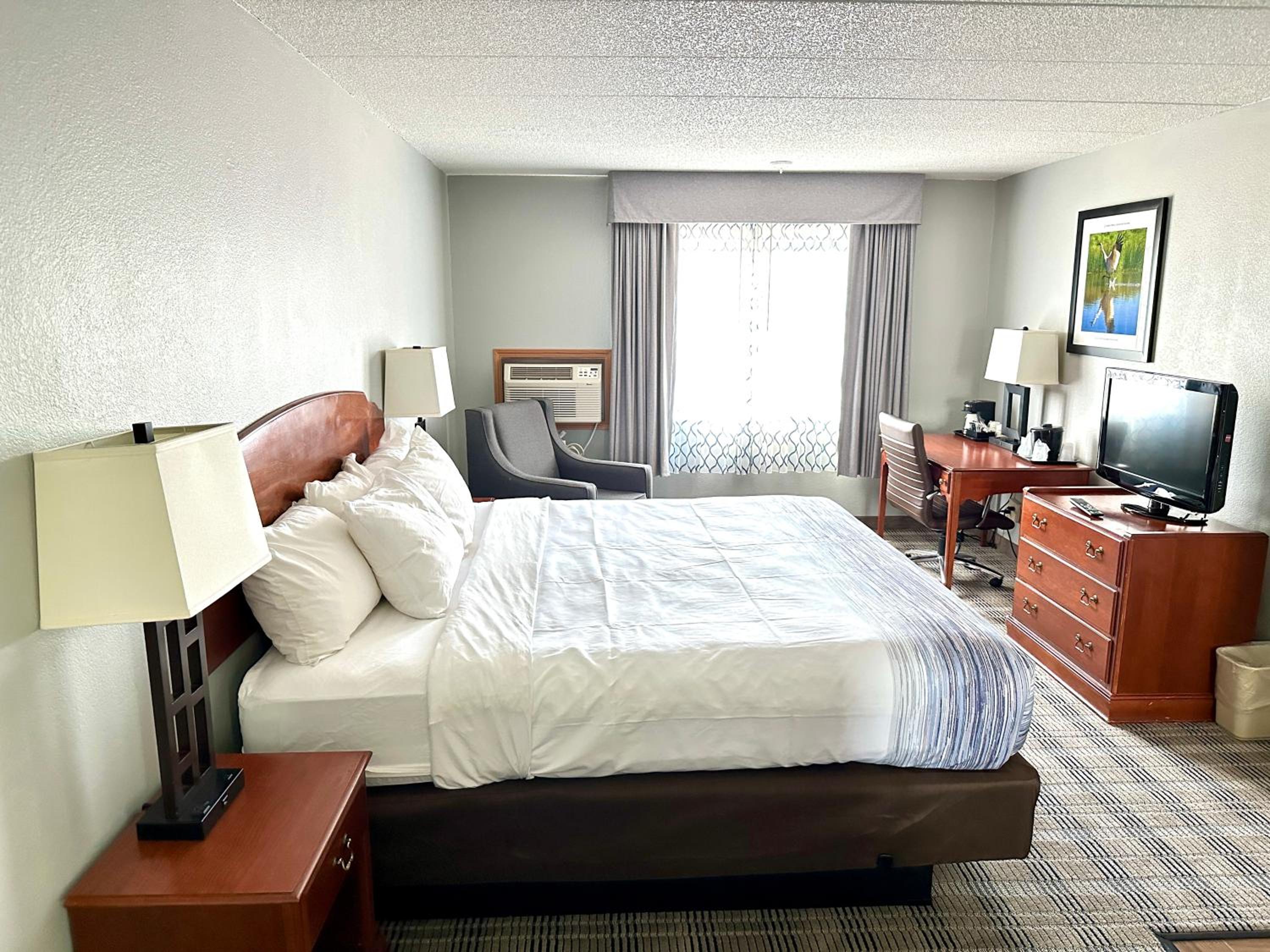 King Room - Non-Smoking - Photo 1