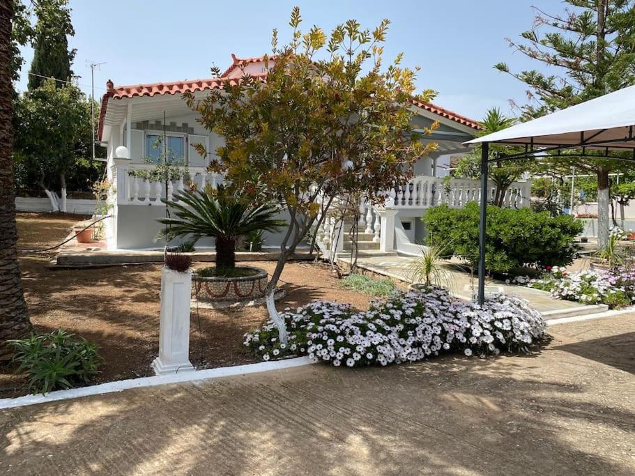 Two-Bedroom House photo 2