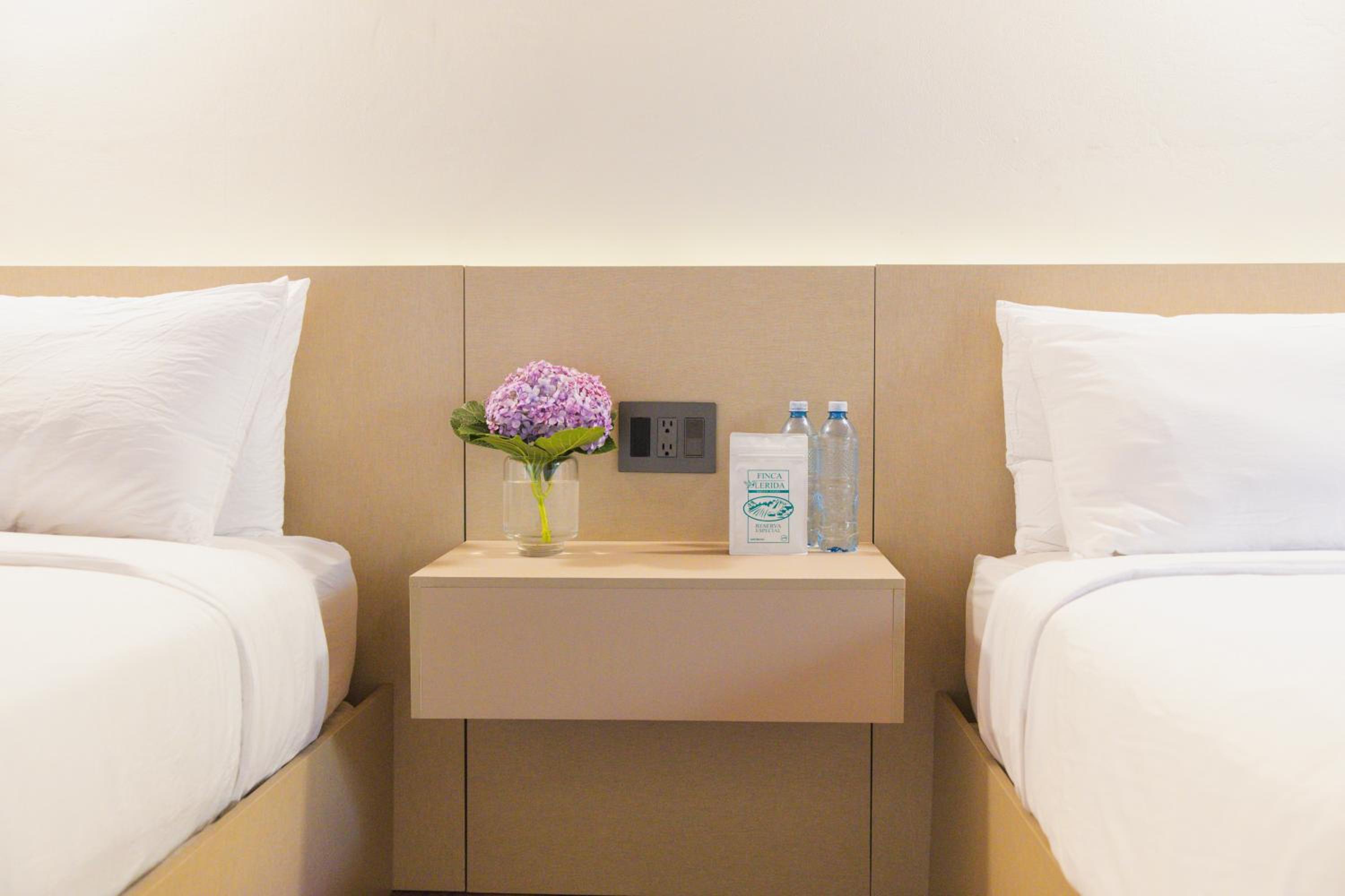 Deluxe Twin Room photo 3
