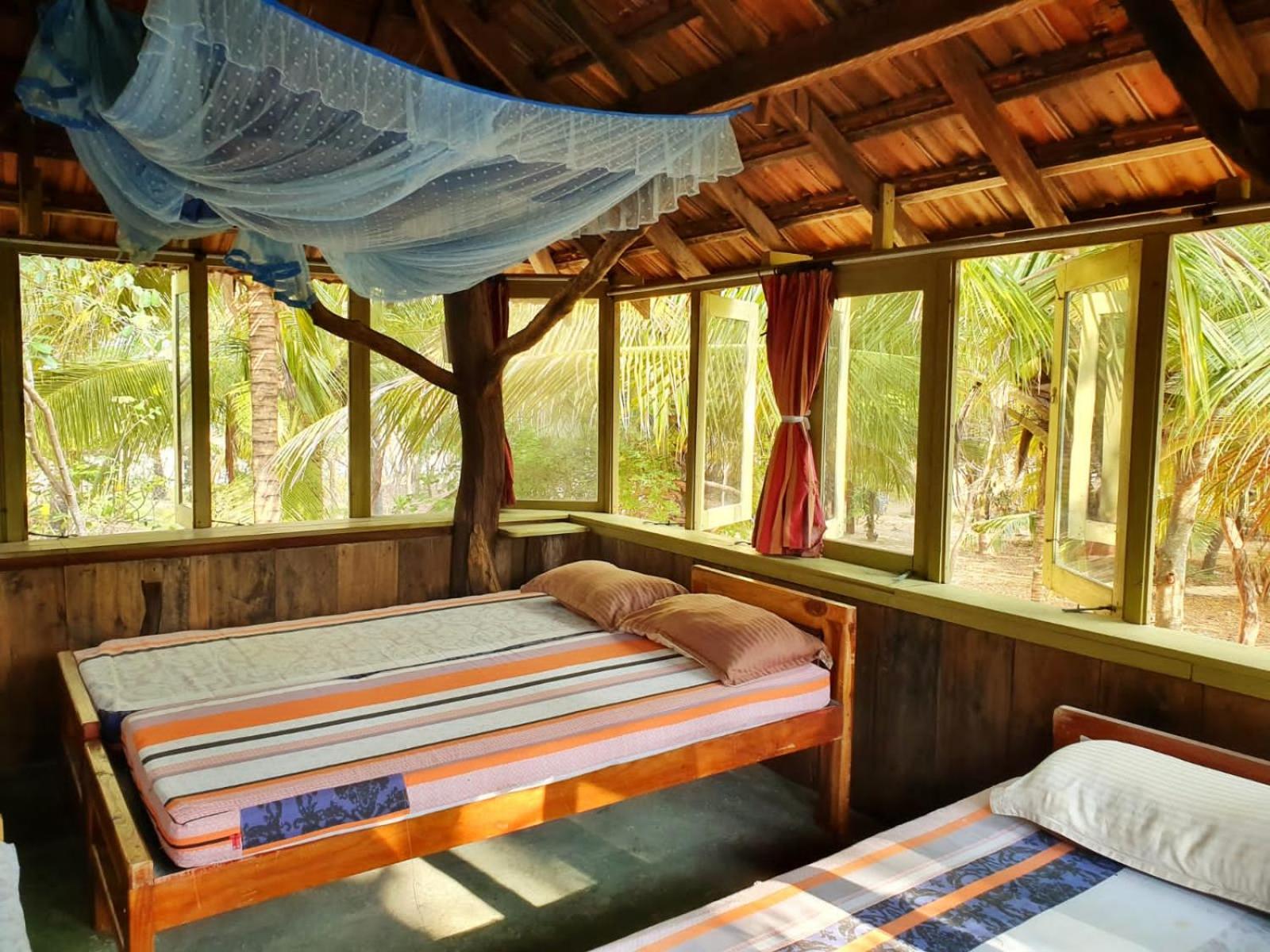 Bed in 6-Bed Mixed Dormitory Room