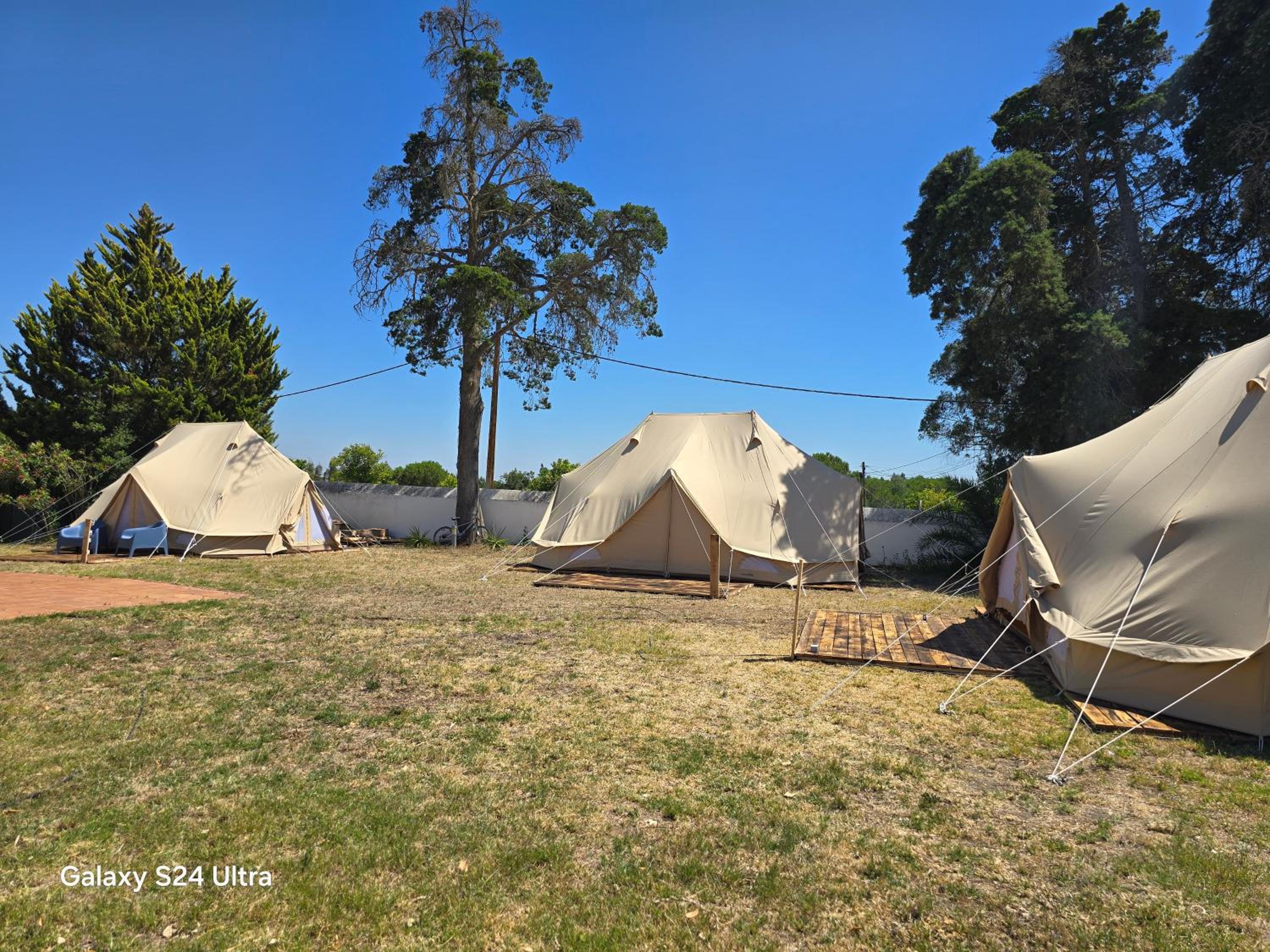 Tent photo 3