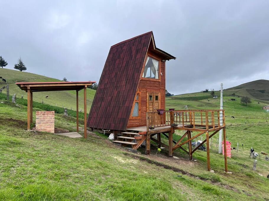 One-Bedroom House photo 2