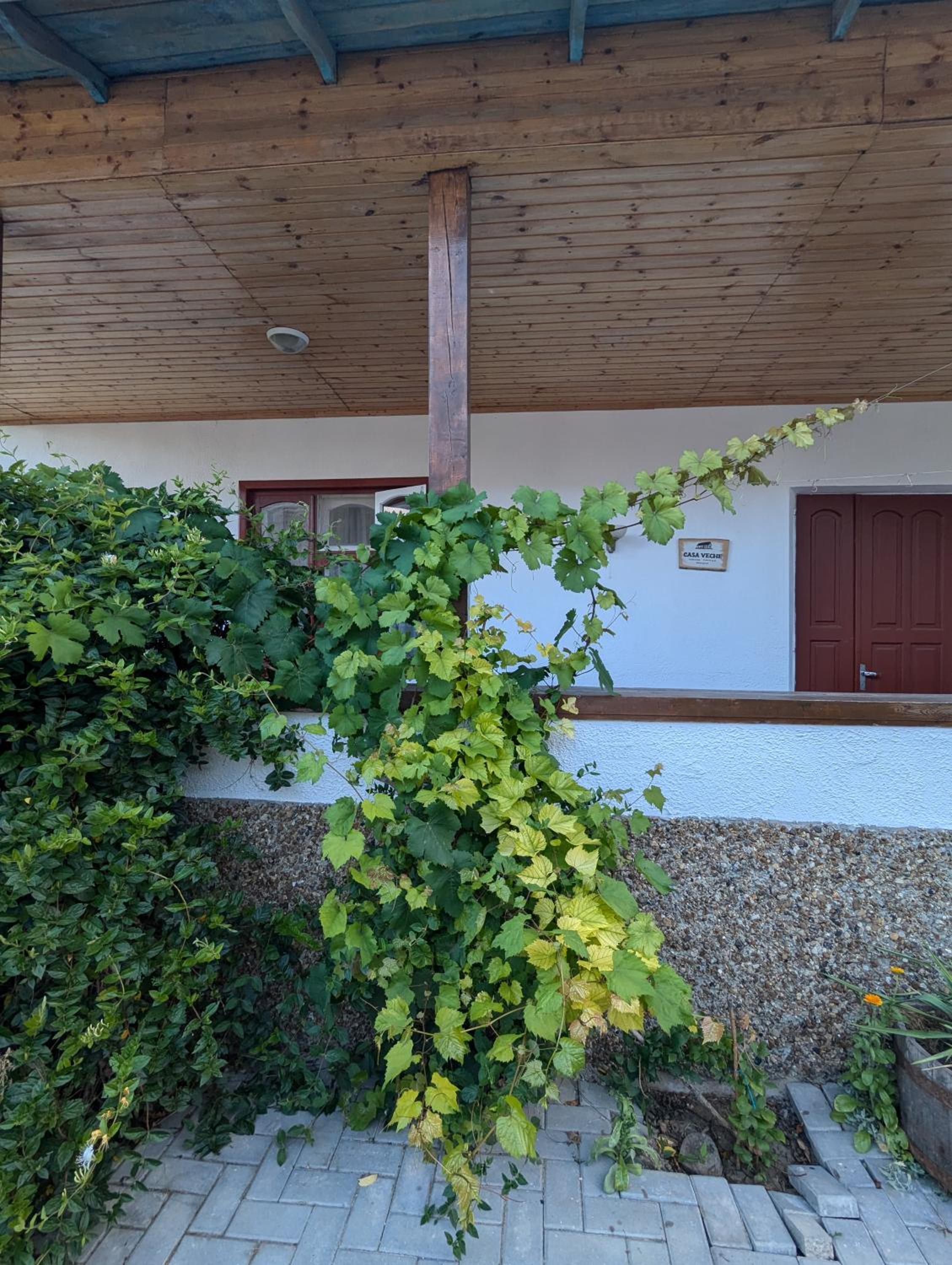 Double Room with Garden View photo 3