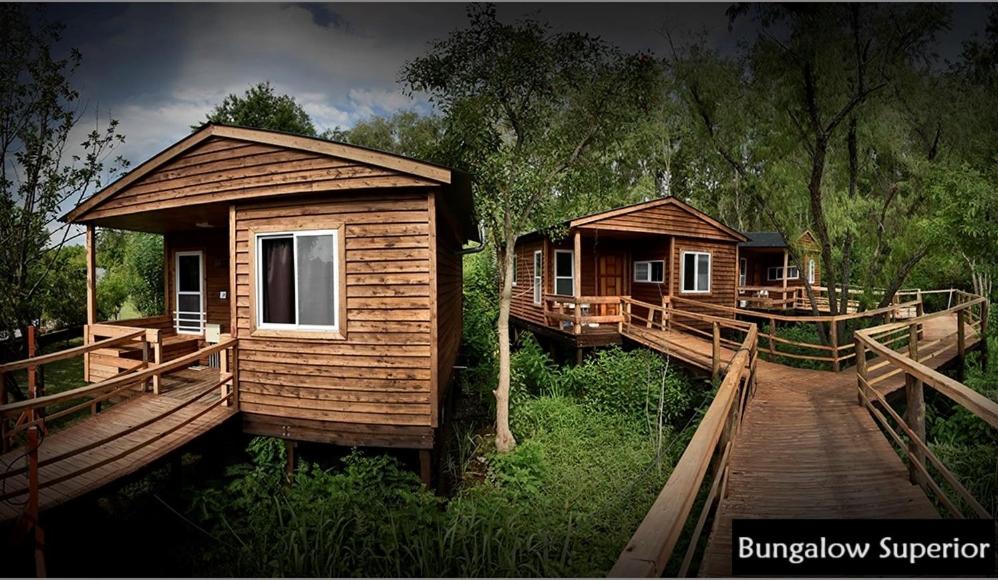 Deluxe Bungalow photo 2