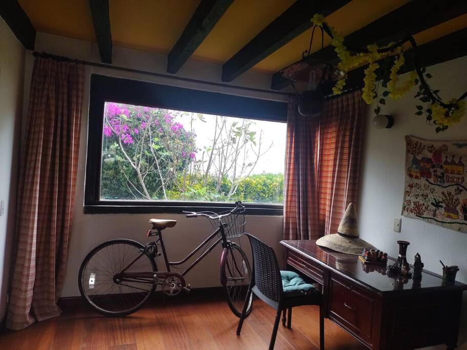 One-Bedroom House photo 1