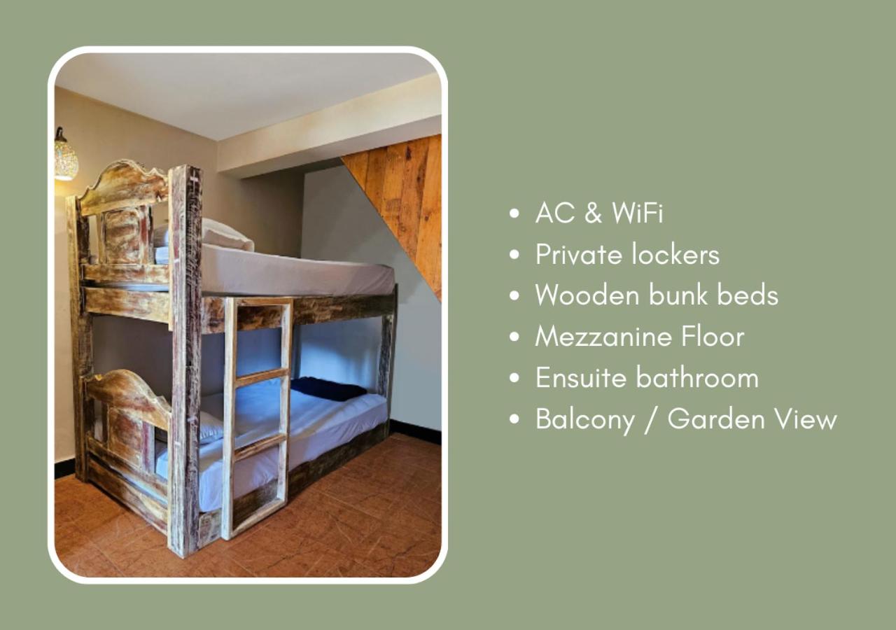 Bunk Bed In Mixed Dormitory Room photo 1