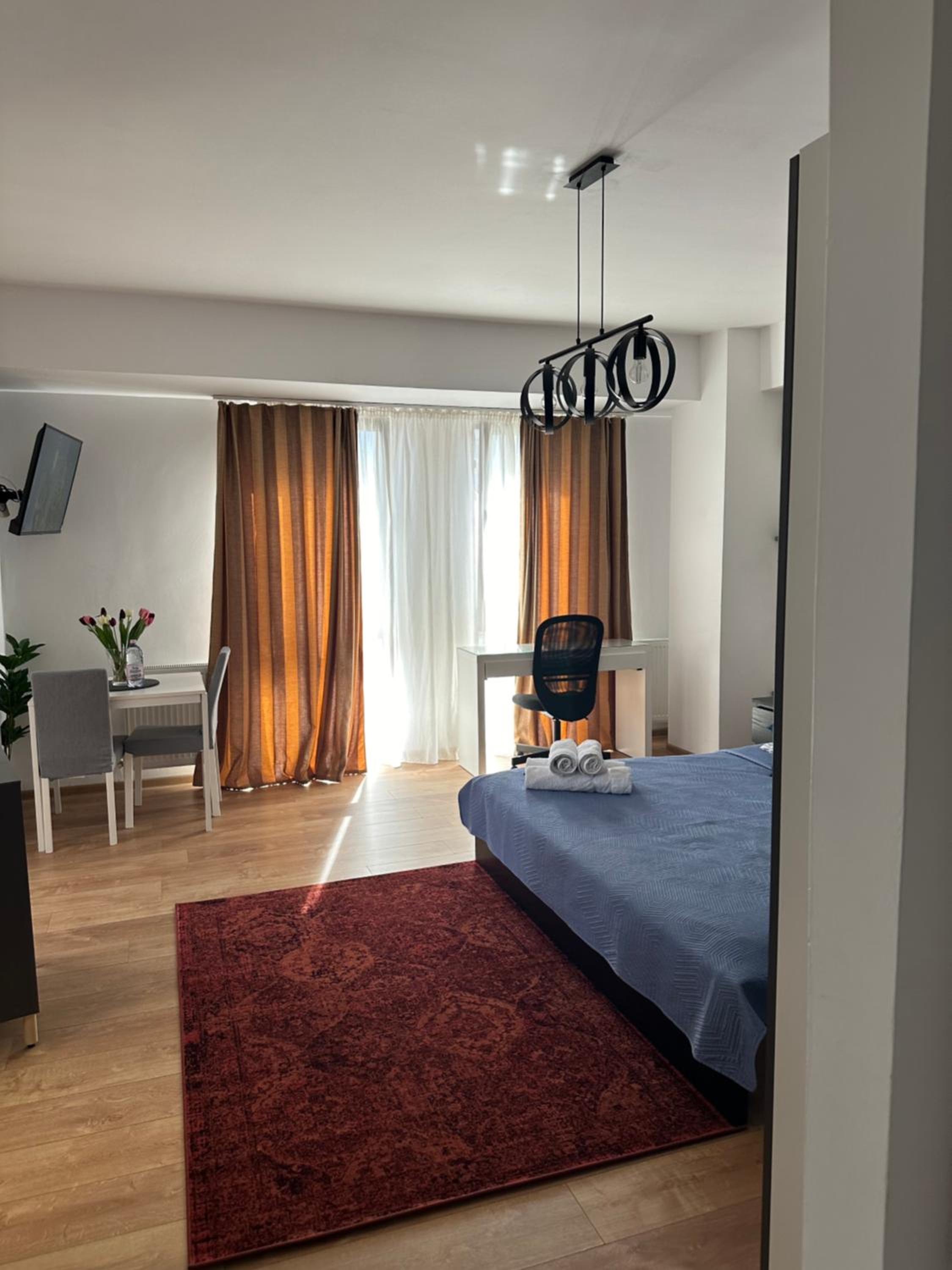 Deluxe One-Bedroom Apartment - Photo 5