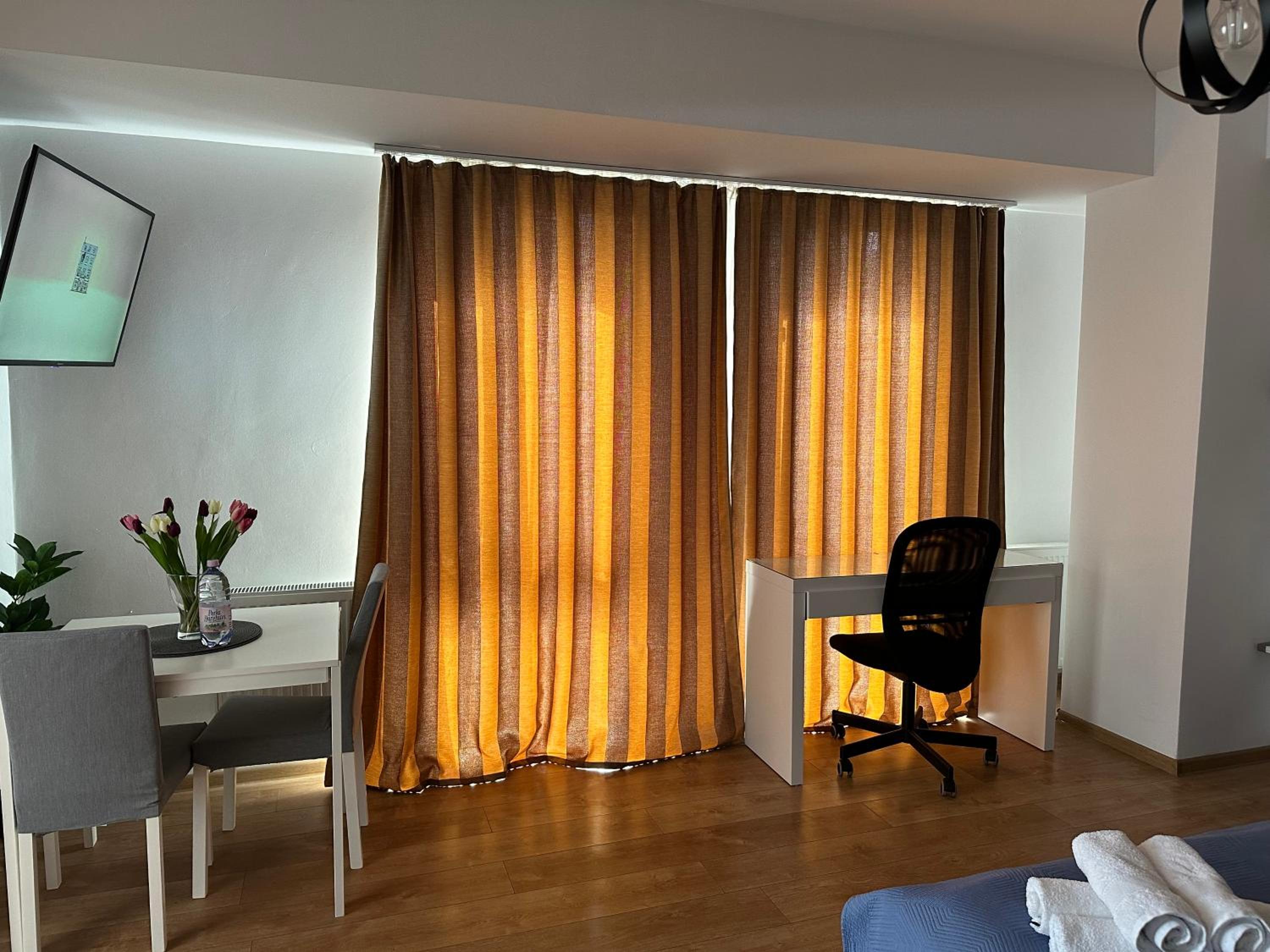 Deluxe One-Bedroom Apartment - Photo 6