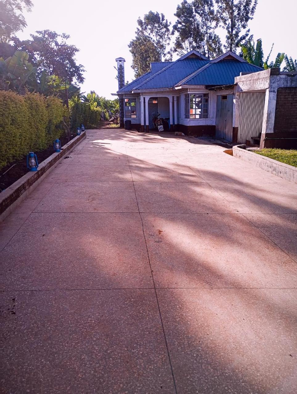 Three-Bedroom House photo 2