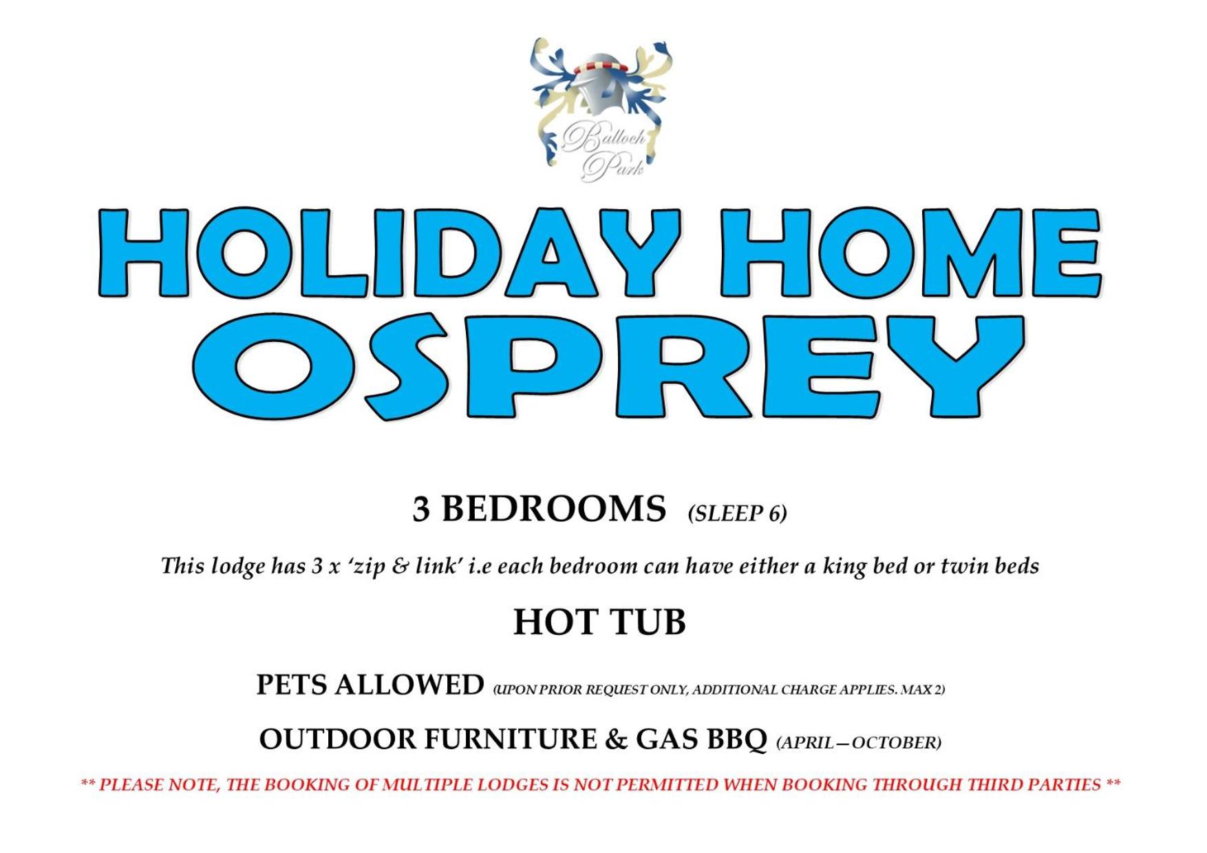 Osprey photo 2