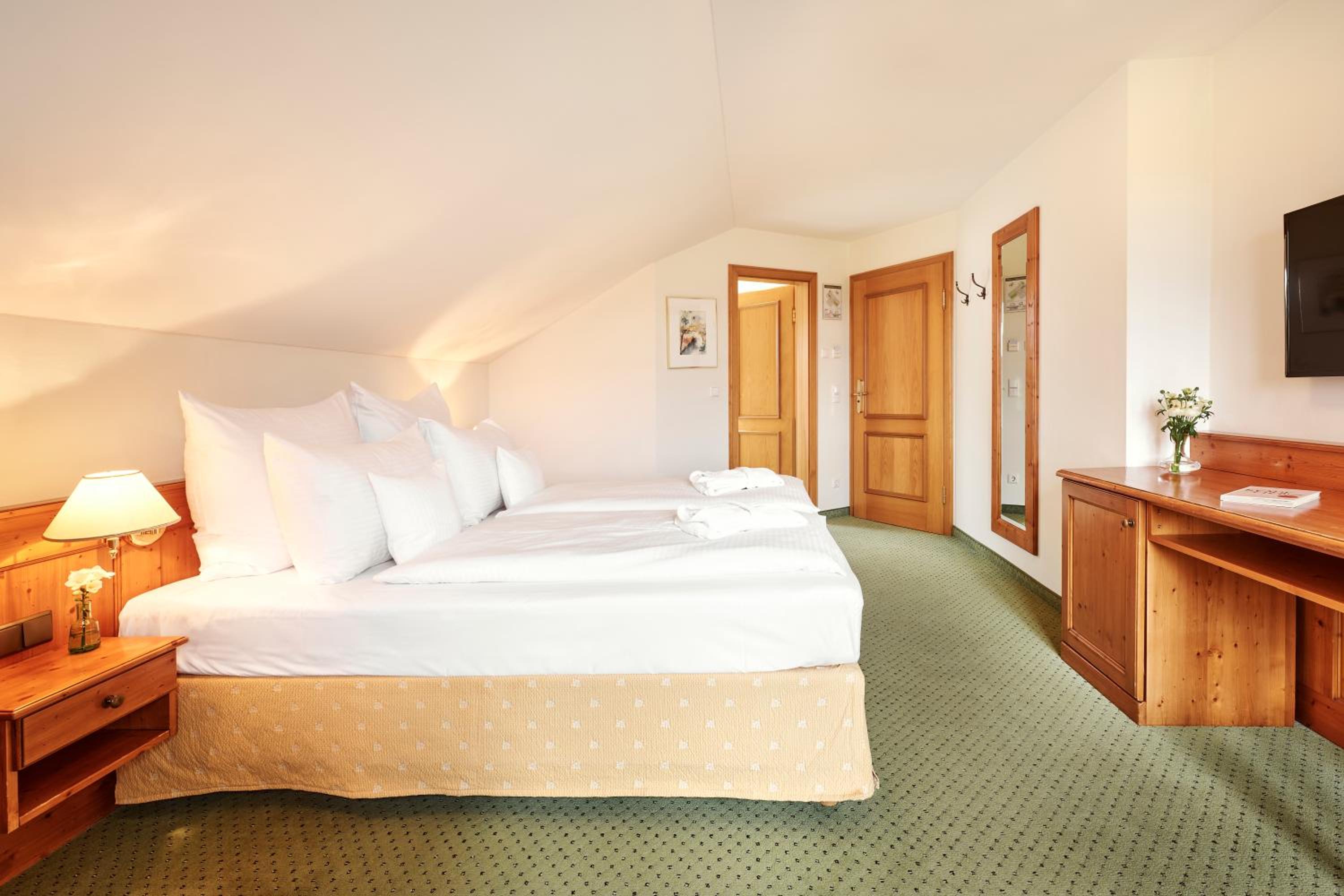 Double Room with Mountain View