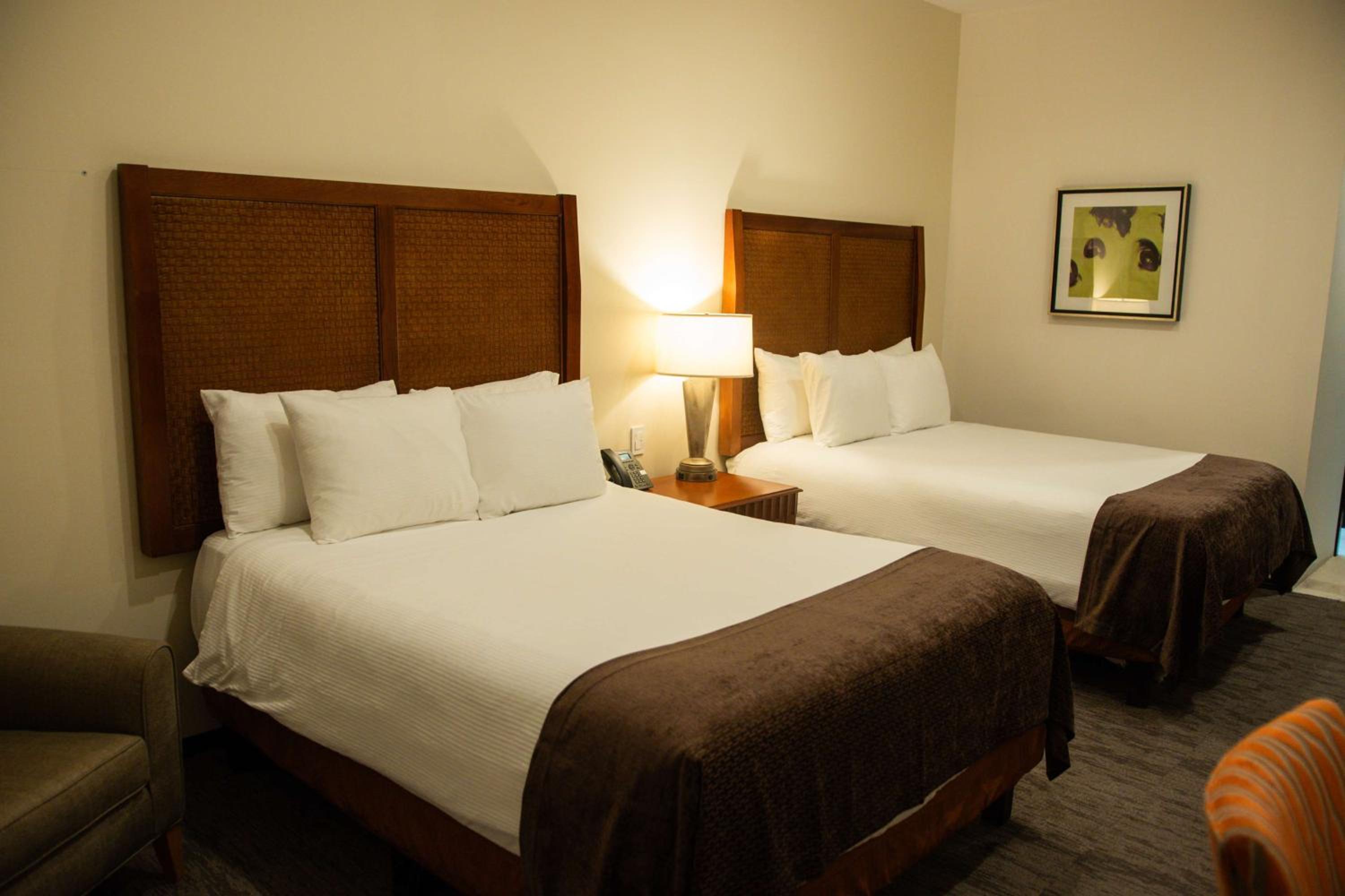 Queen Room with Two Queen Beds and Street View - Non-Smoking - Photo 1