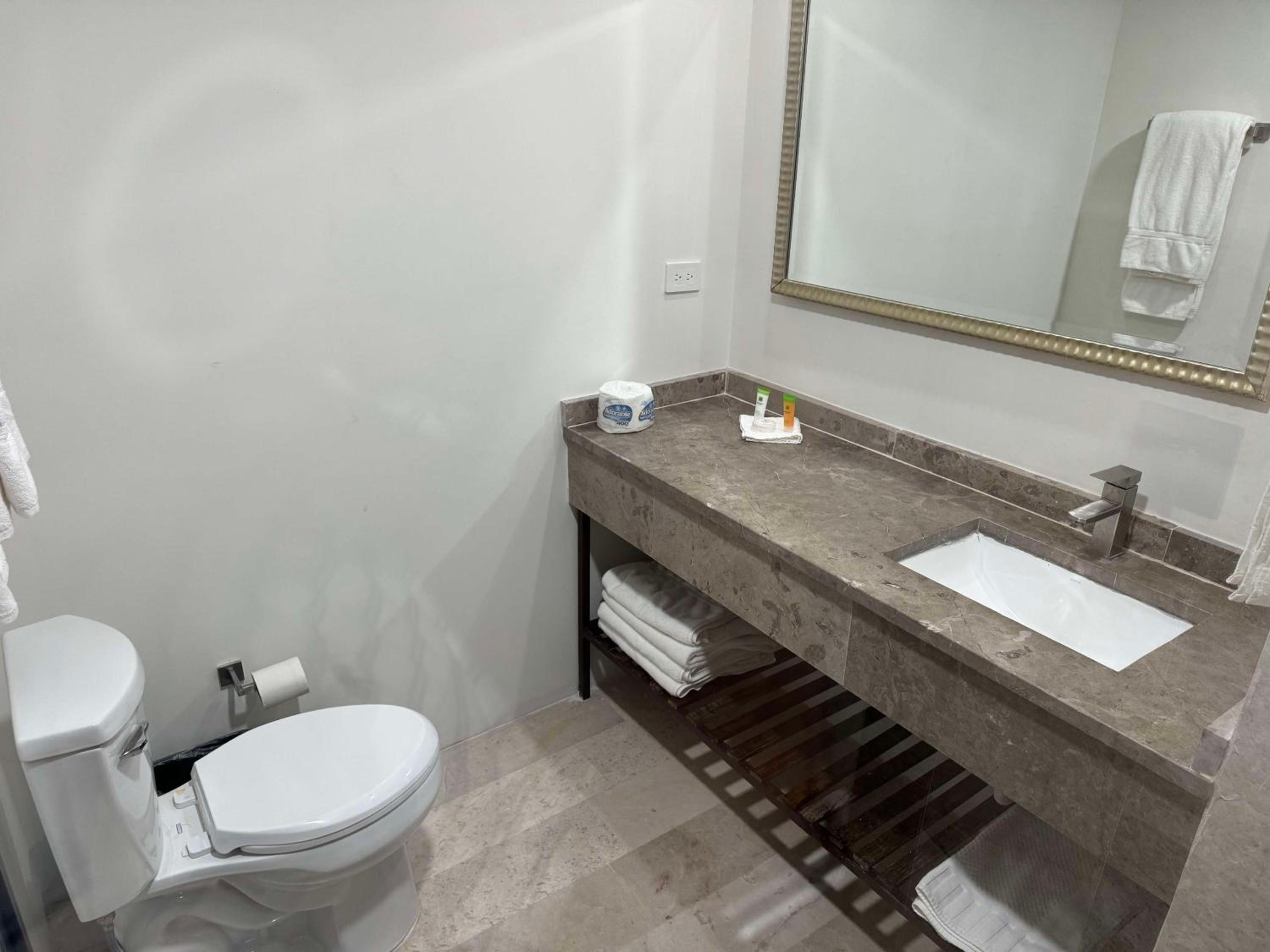 King Room with Roll-In Shower - Disability Access - Photo 3