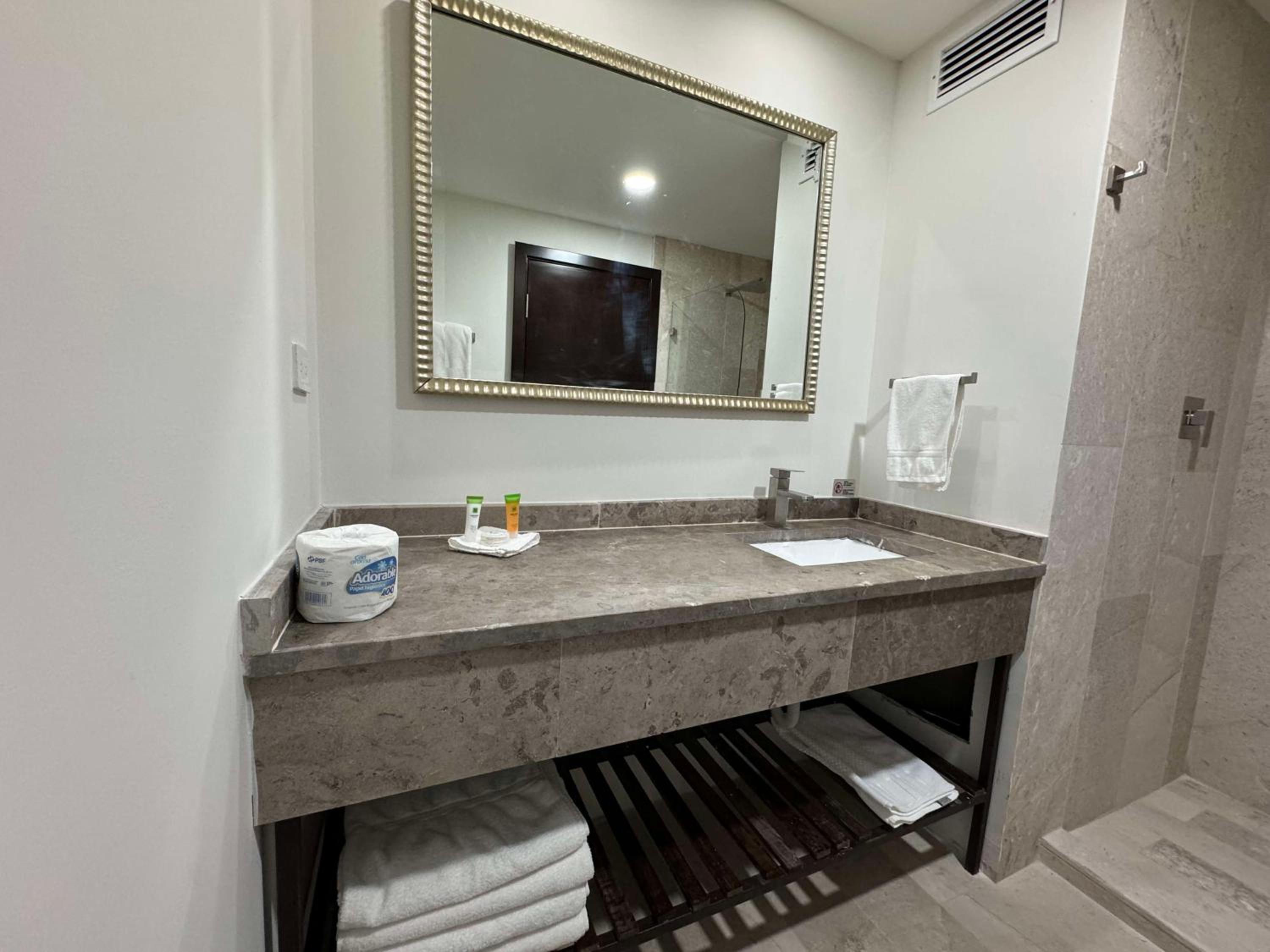 King Room with Roll-In Shower - Disability Access - Photo 2