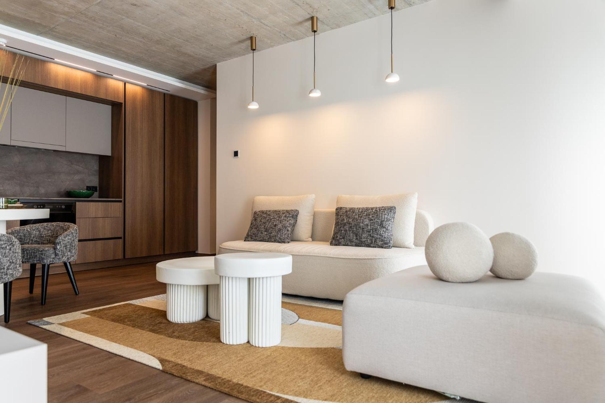 Deluxe One-Bedroom Apartment
