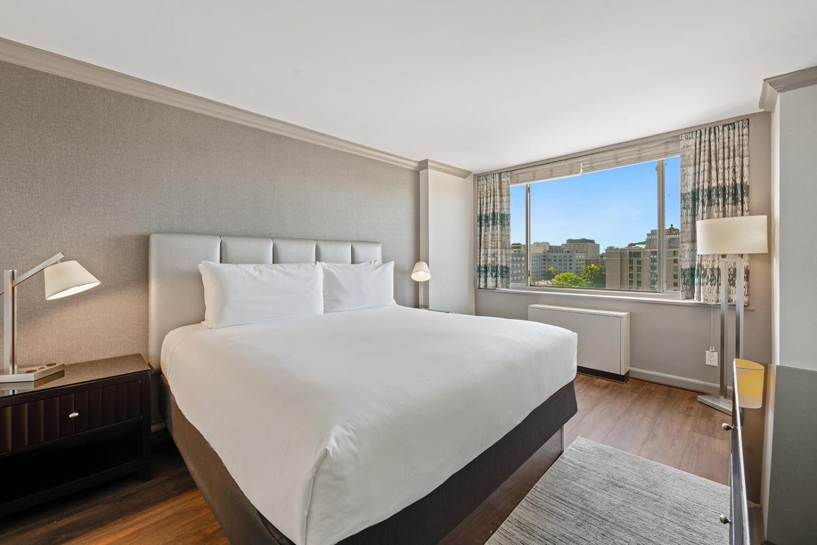 King Suite with Sofa Bed - Photo 4