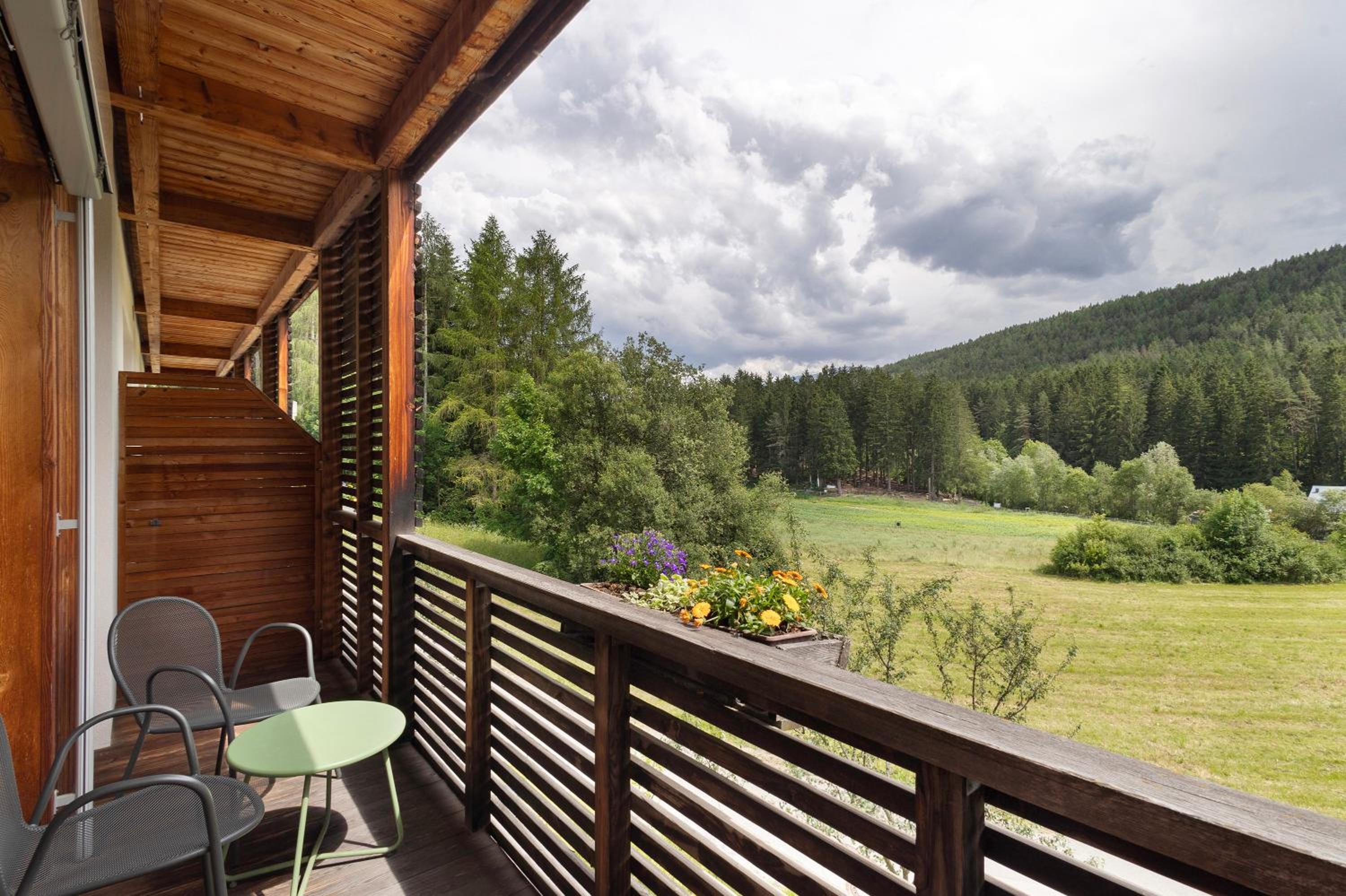 Studio with Terrace photo 2