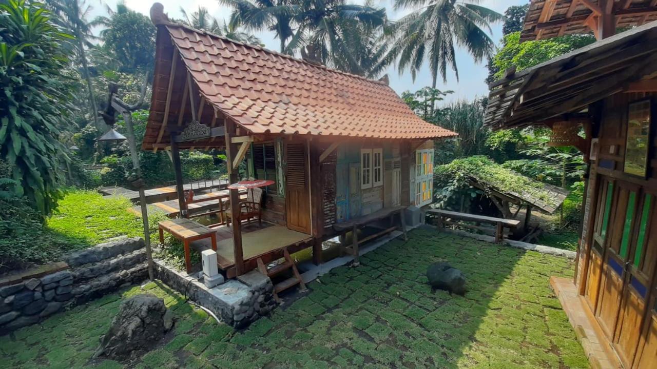 Double Room with Terrace photo 2