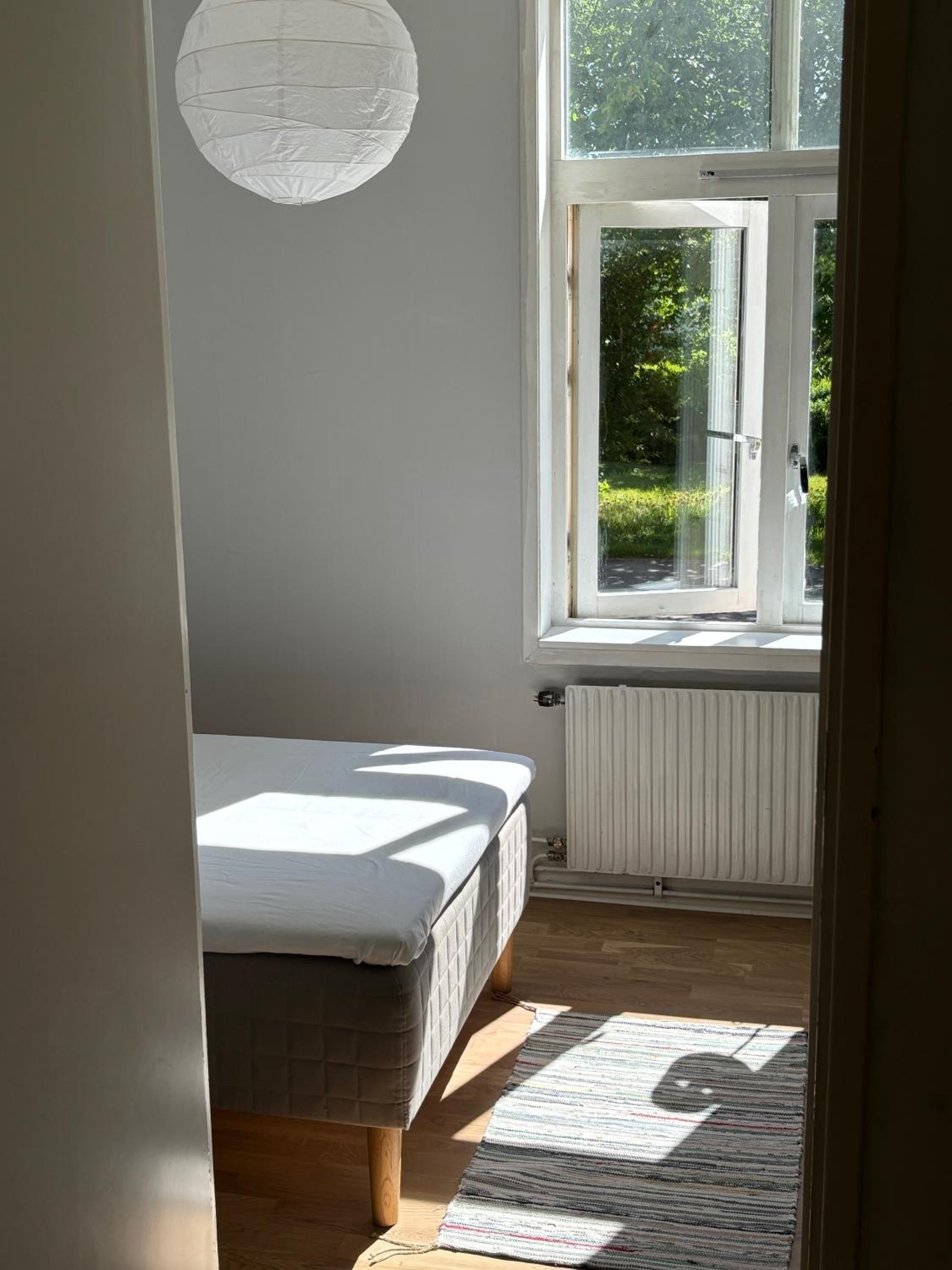 Single Room photo 1