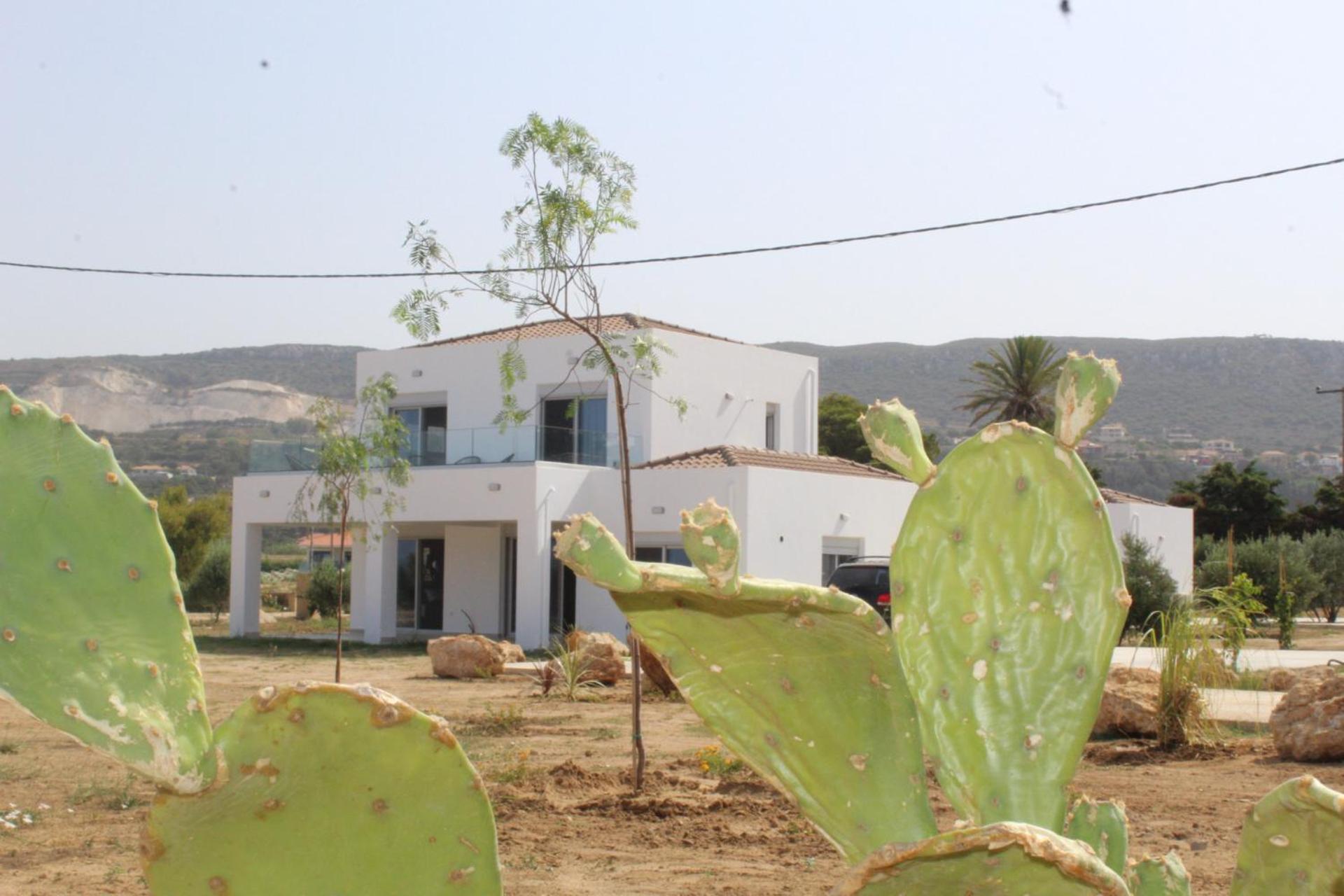Three-Bedroom Villa photo 3