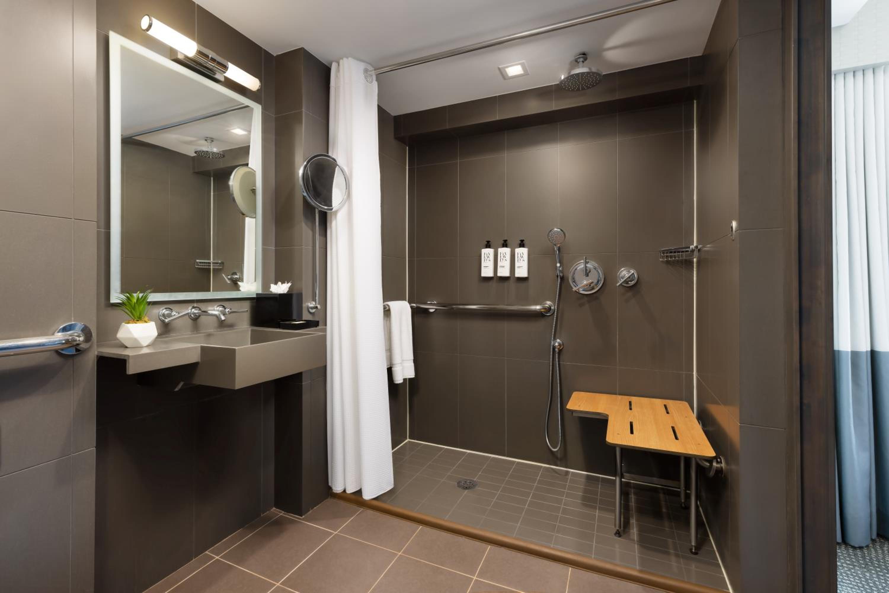 Social City View Accessible King-Roll-in Shower