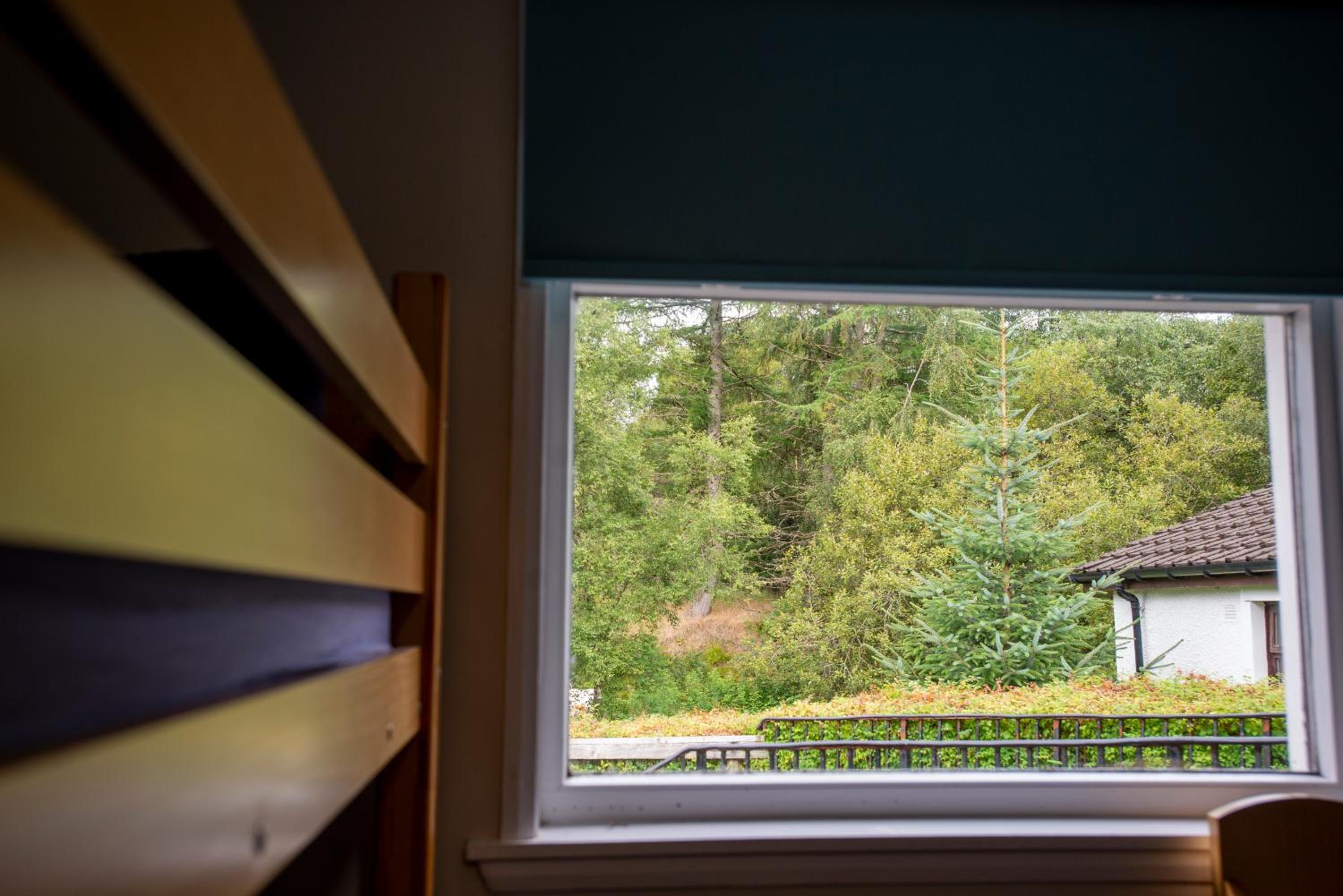 Bunk Bed in Female Dormitory Room   photo 2