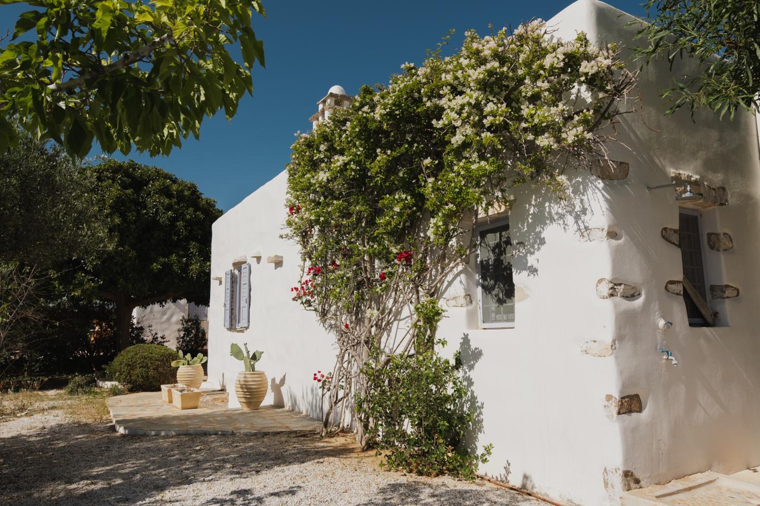 Three-Bedroom Villa photo 2