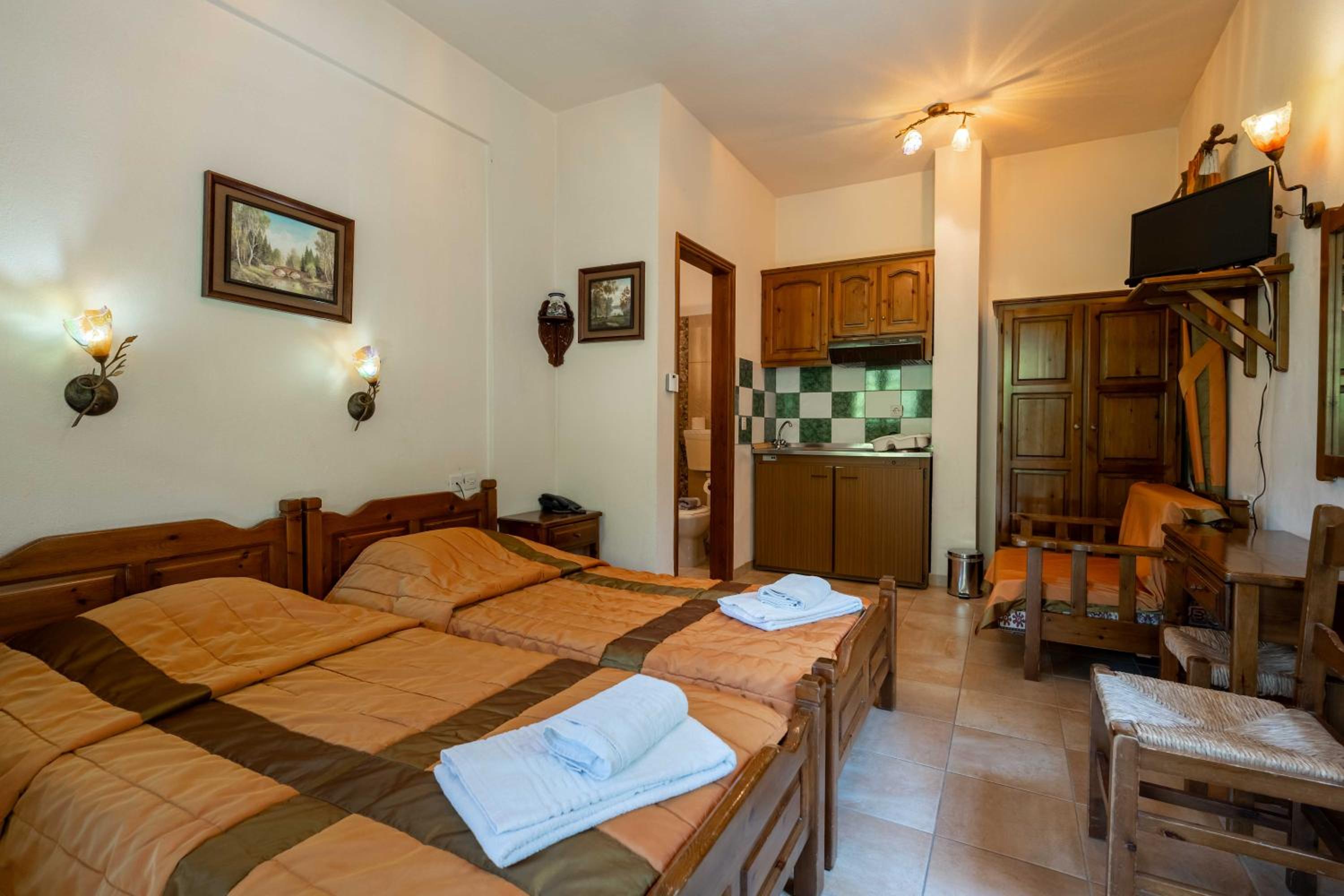 Double Room with Mountain View photo 2