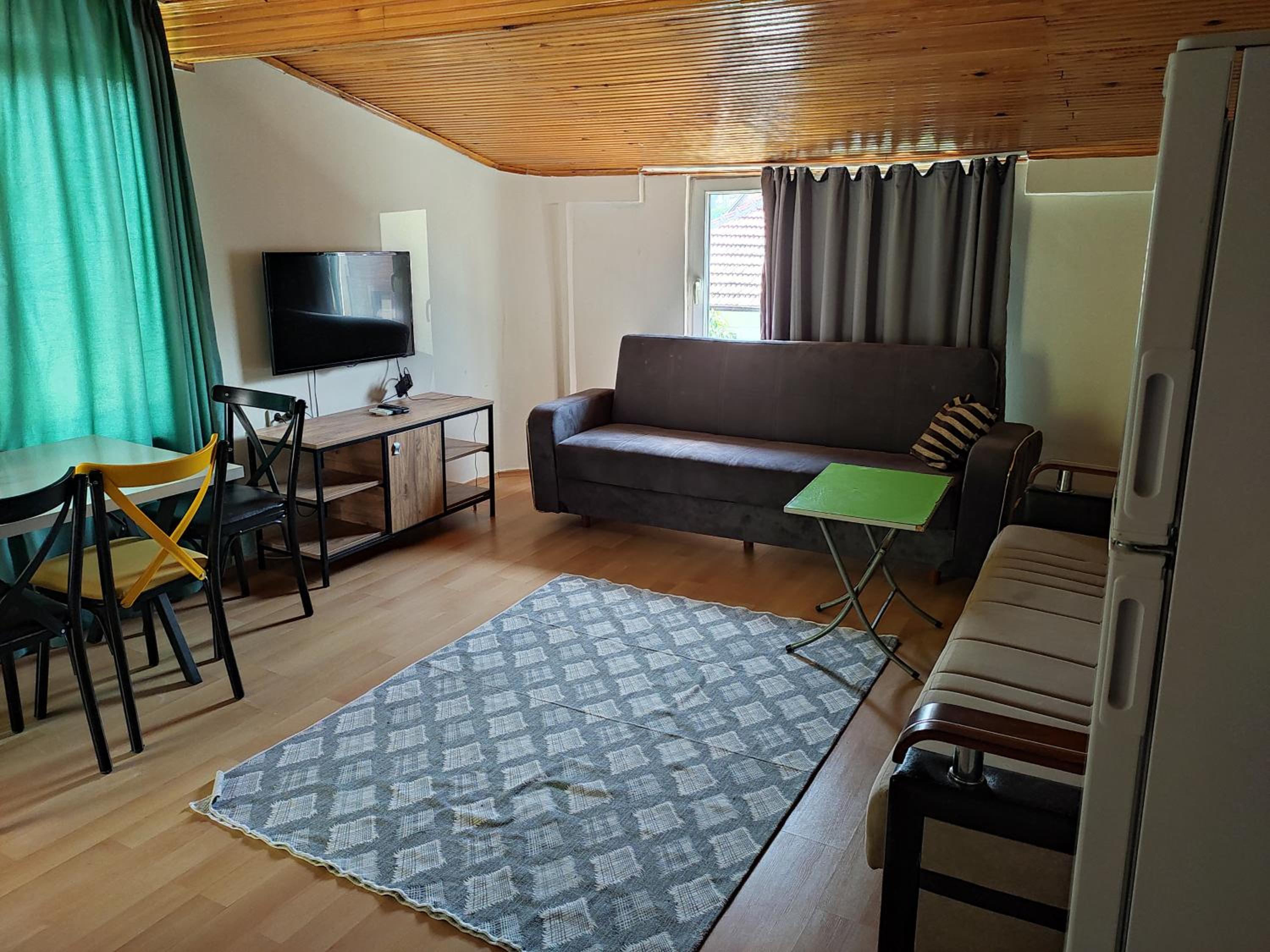 Standard Apartment photo 1
