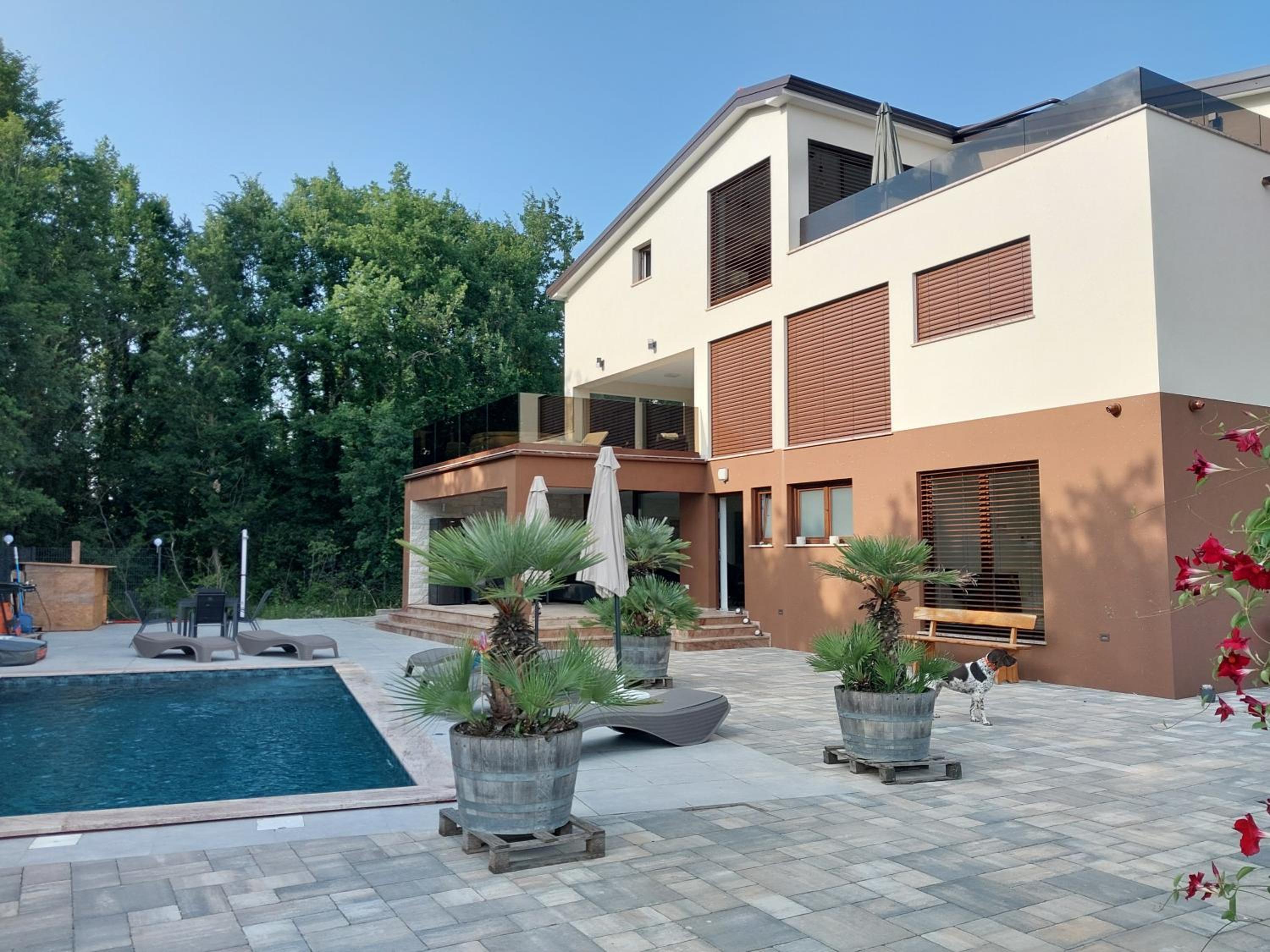 Three-Bedroom Apartment with Private Pool photo 3