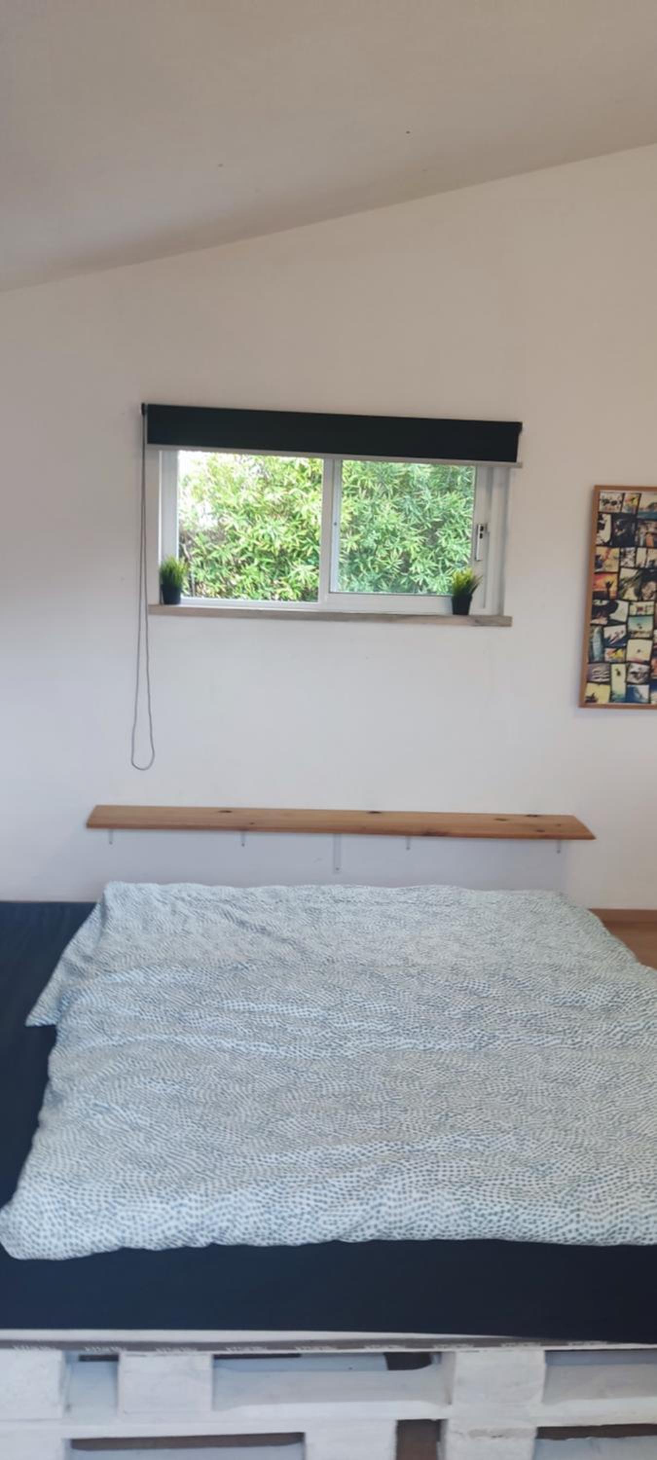 Large Double Room photo 2