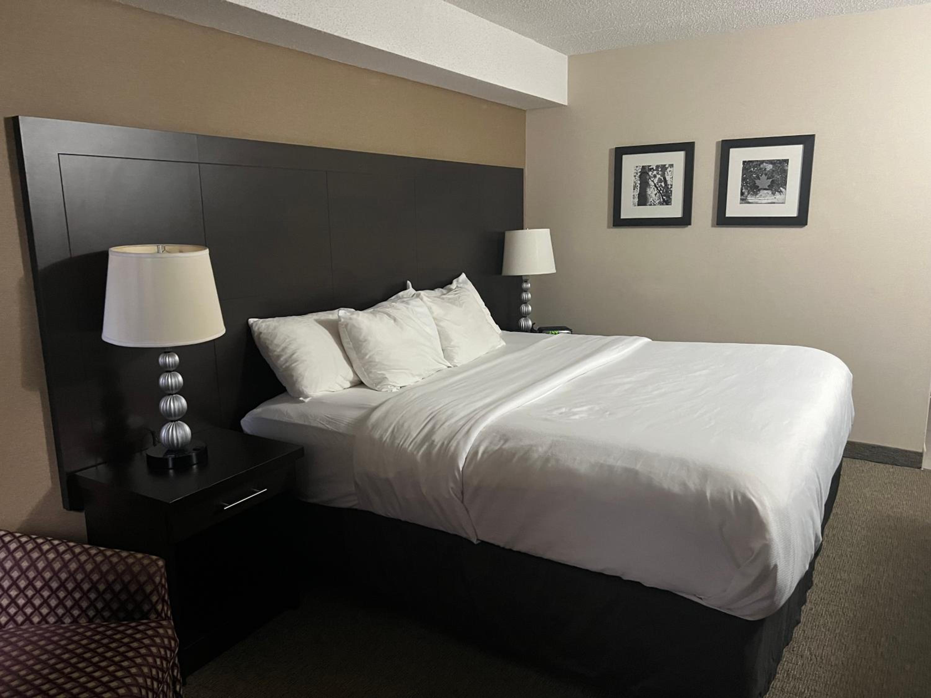 Standard King Room - Non-Smoking  - Photo 11