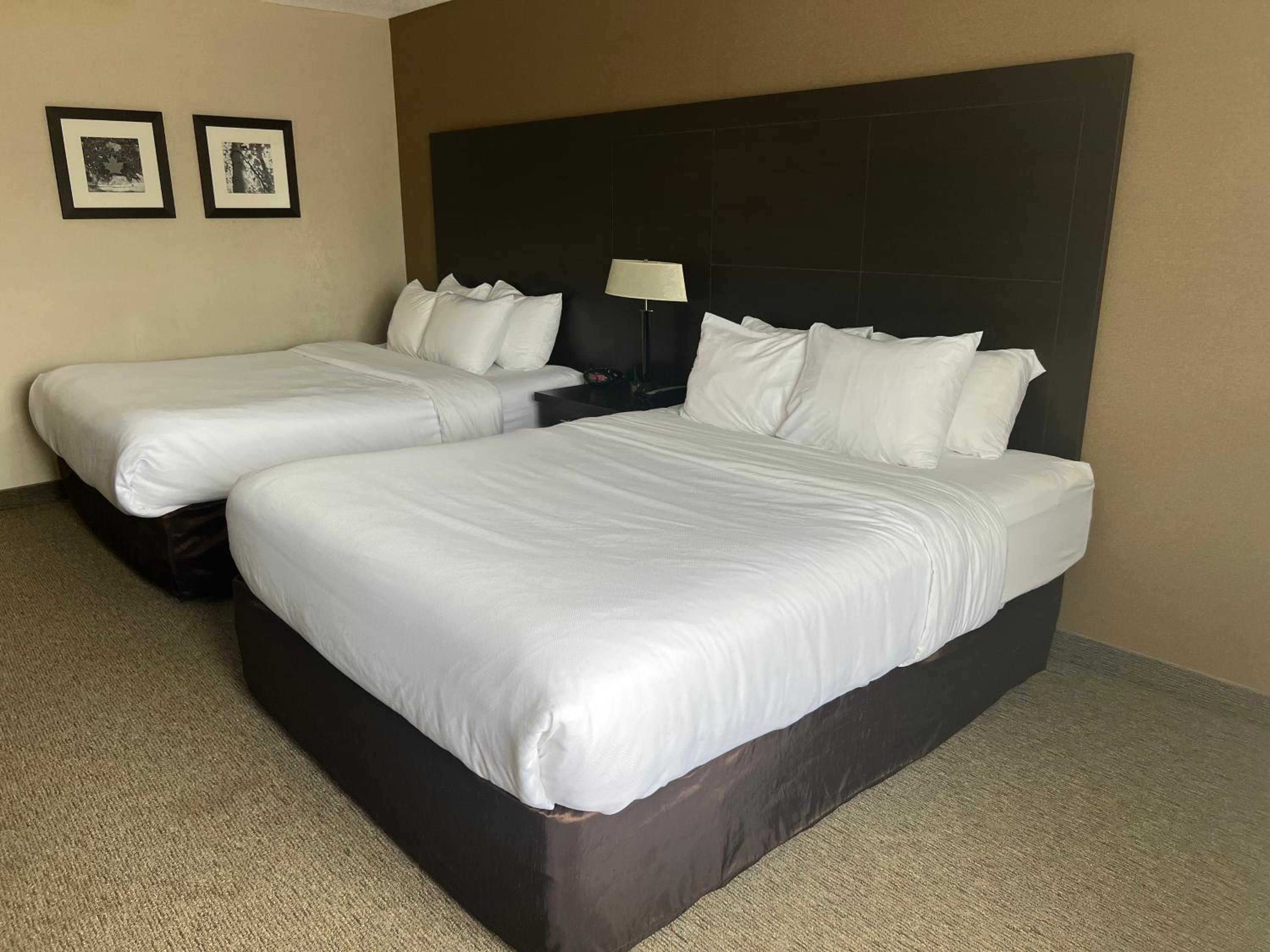Queen Room with Two Queen Beds - Non Smoking - Photo 2