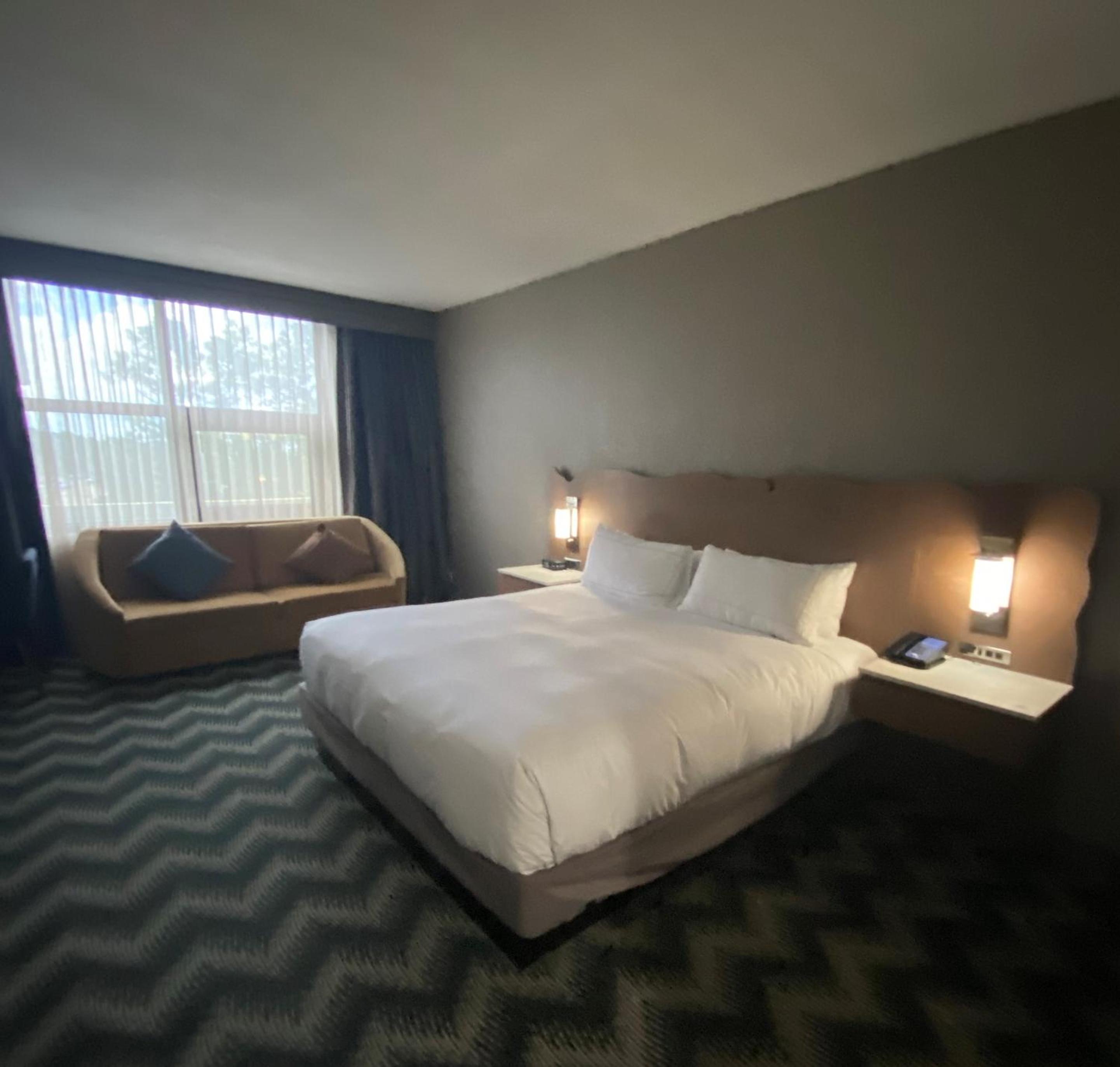 King Studio Suite with Sofa Bed - Photo 4