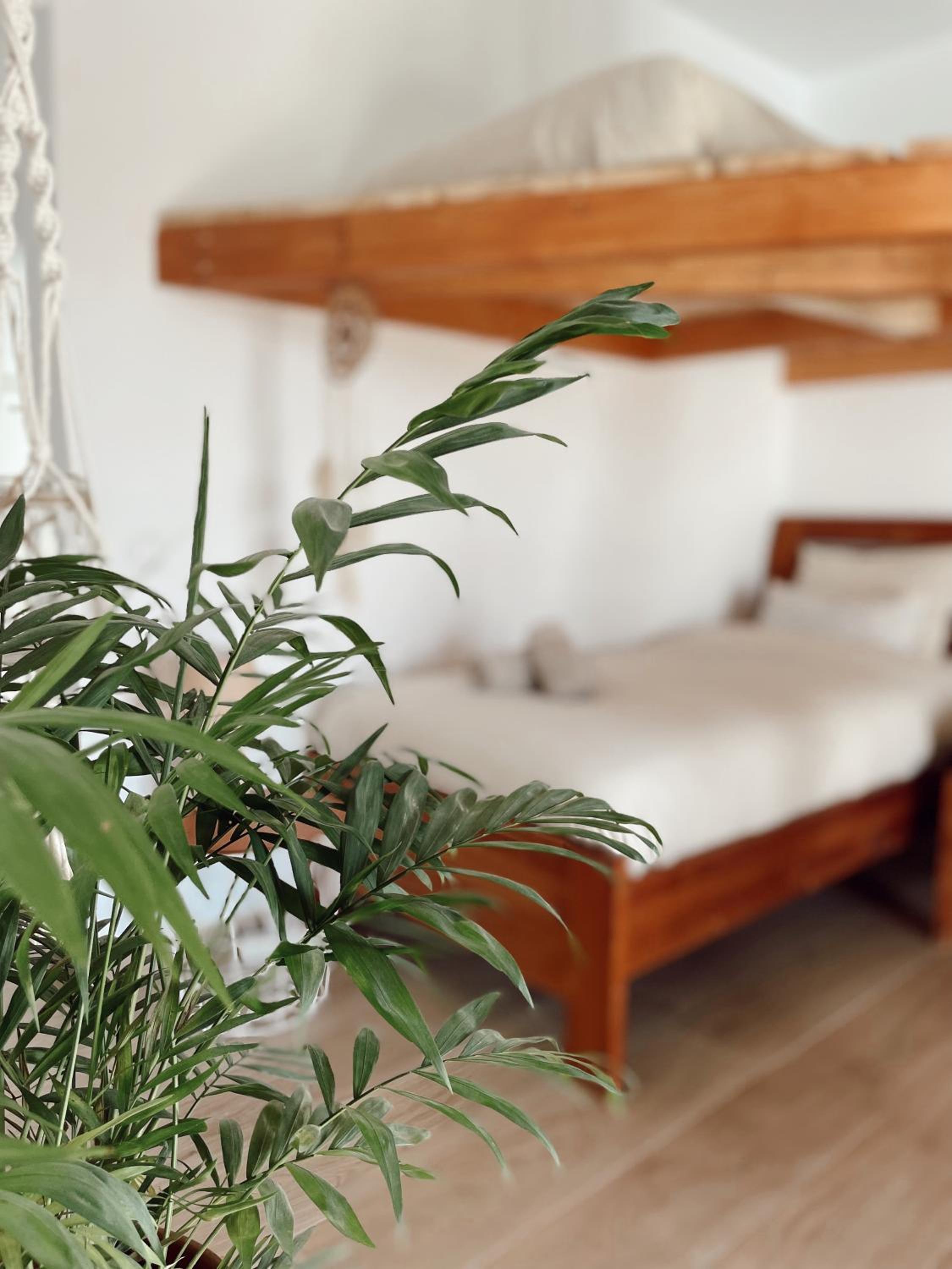 Cama en habitación compartida de 4 camas para mujeres.