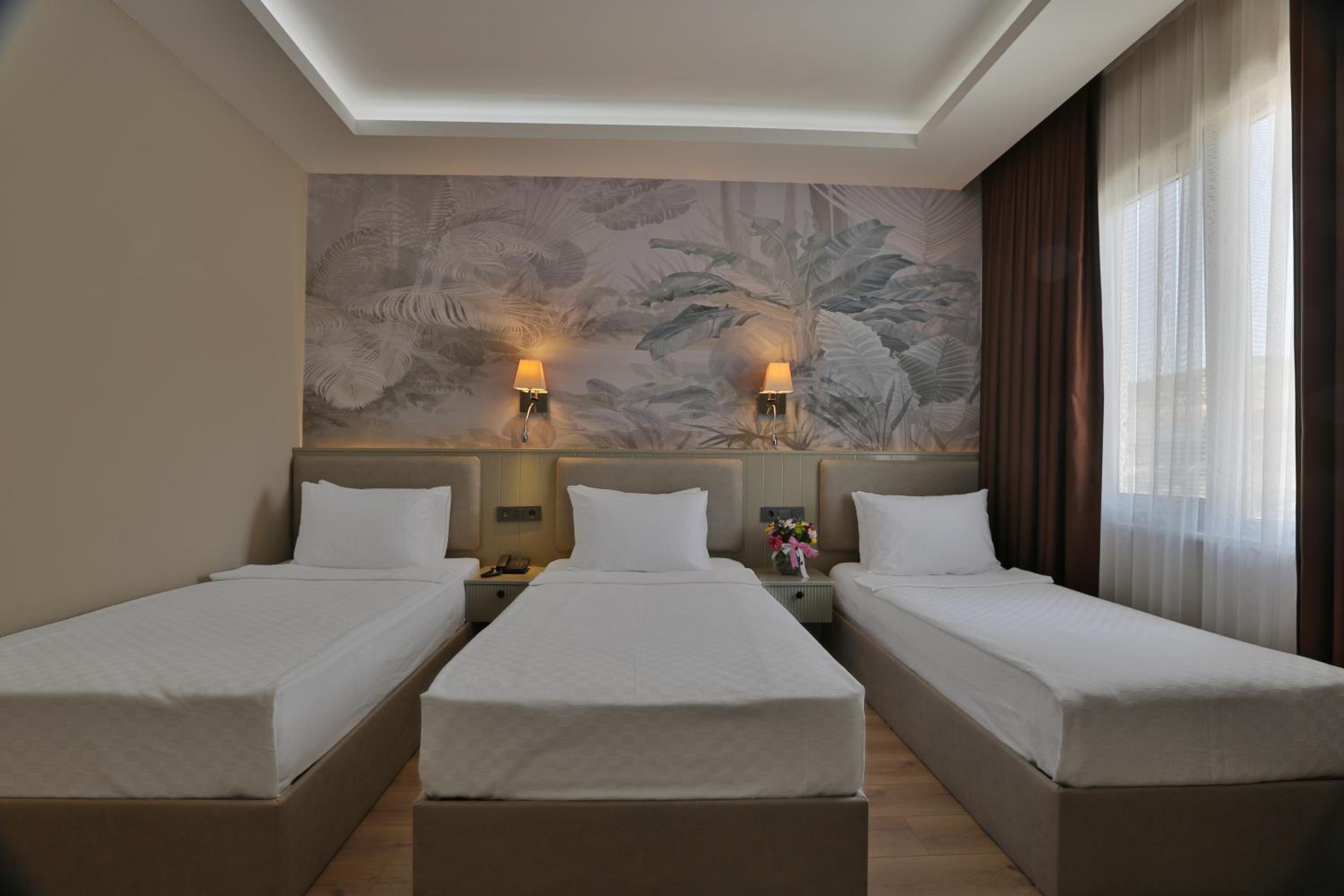 Triple Room with Mountain View